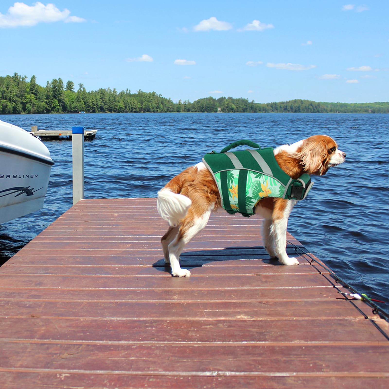 Kuoser Dog Life Jacket (DarkGreen, Large) - Adjustable High Visibility Ripstop Vest with Reflective Stripes, Top Handle & Leash