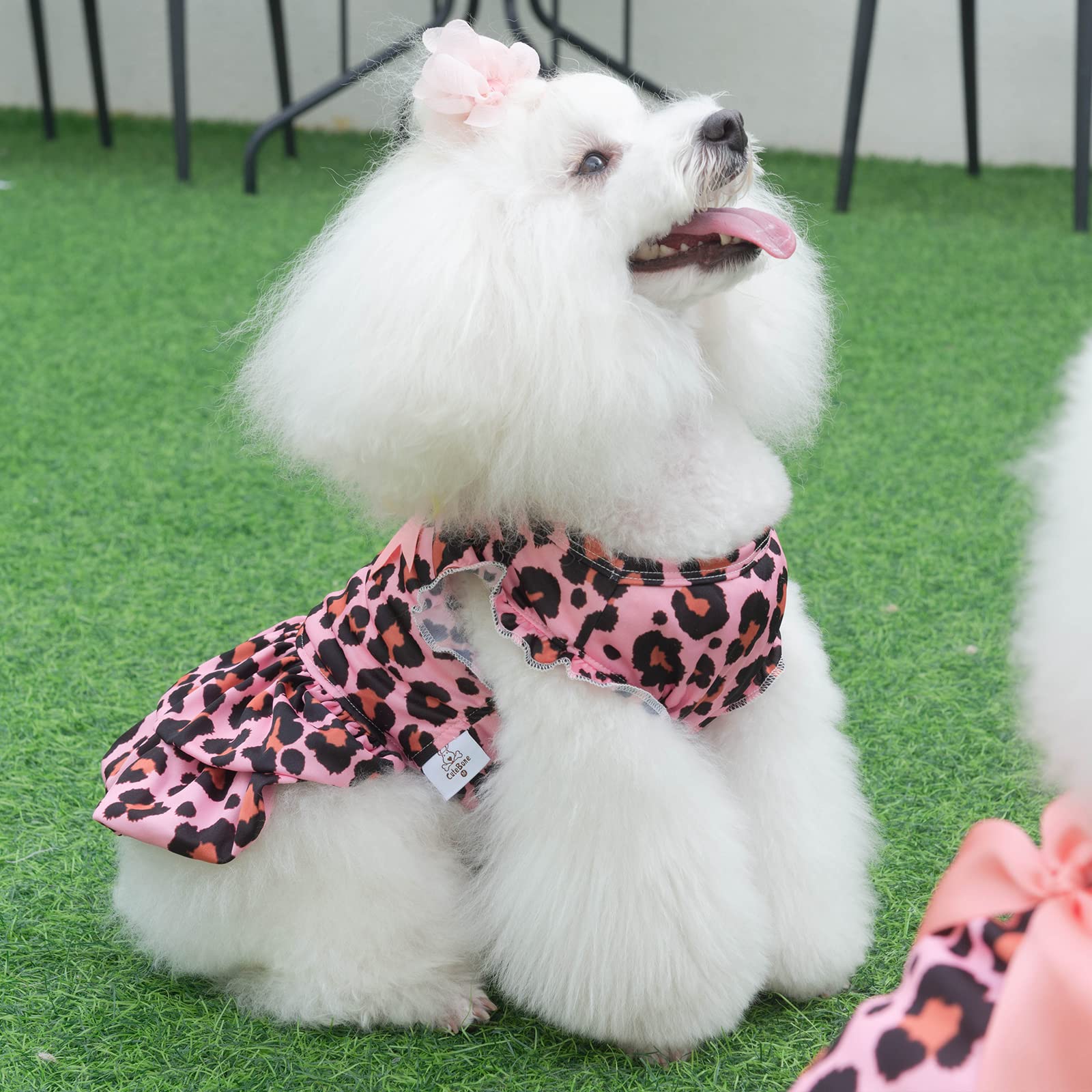 Cutebone Dog Velvet Dress Pink Leopard Puppy Skirt Costume Pet Outfit Cat Clothes With Bow Hair Rope Valentine'S Day Gift Dr23Xs