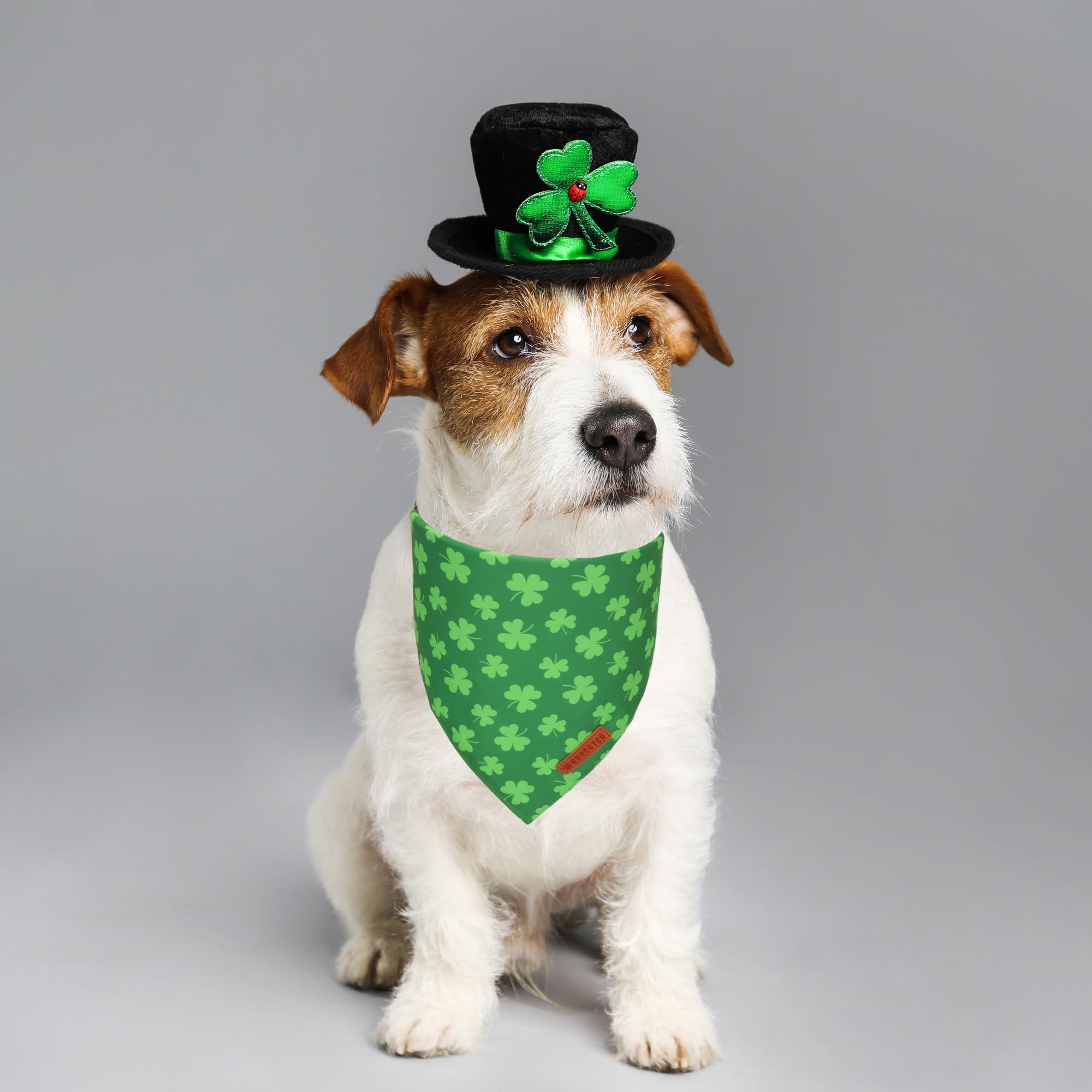 ADOGGYGO St. Patrick 's Day Dog Bandana, Green Shamrock Pet Scarf, Adjustable Fit Saint Patrick Bandanas for Small Dogs (Small)