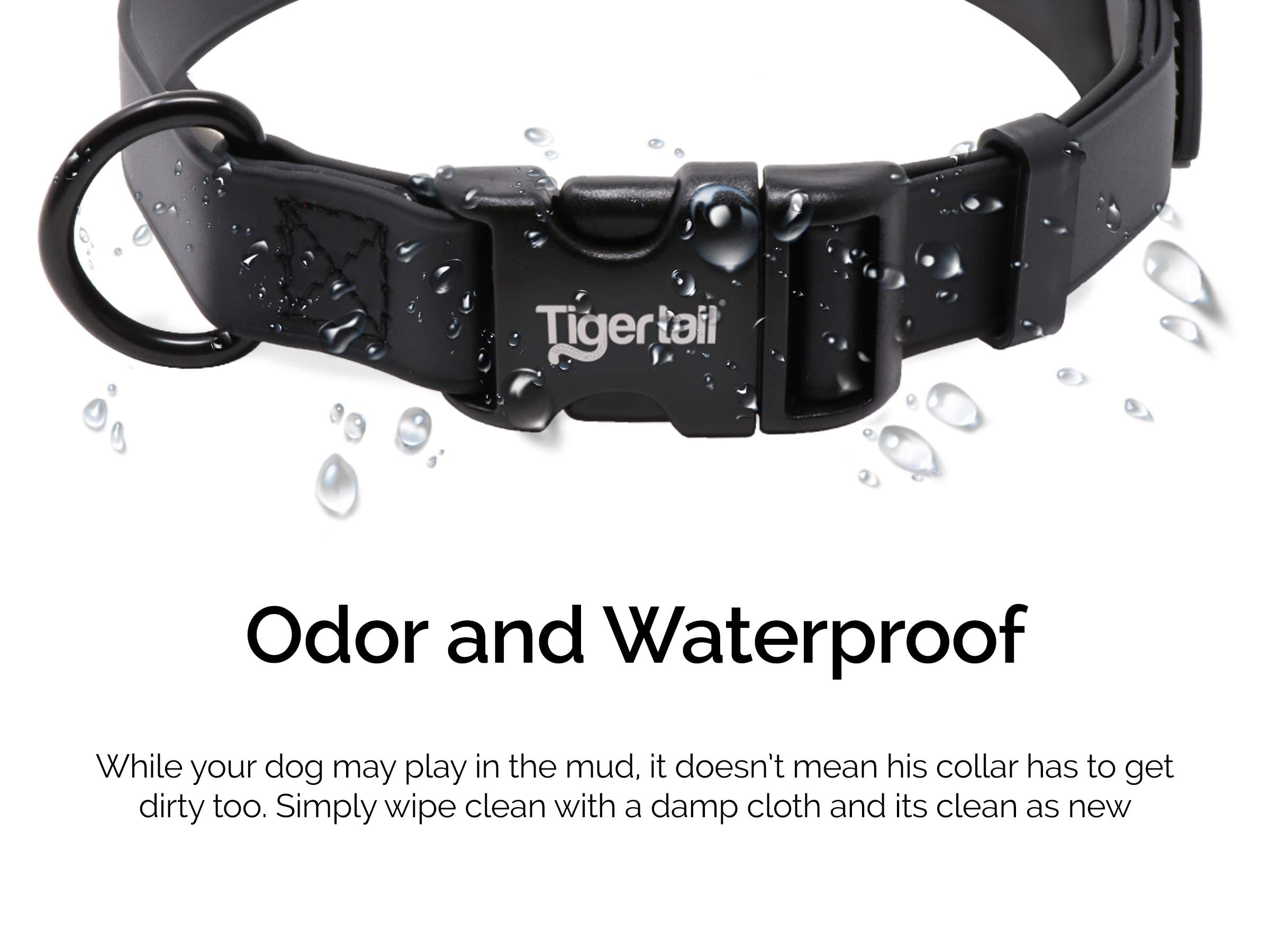 Tiger Tail Urban Nomad Dog Collar | Waterproof, Odor Proof, Durable, Anti-Mat & Lightweight | Premium Coated Nylon | For Large, Medium & Small Breed Pets | Black, Medium