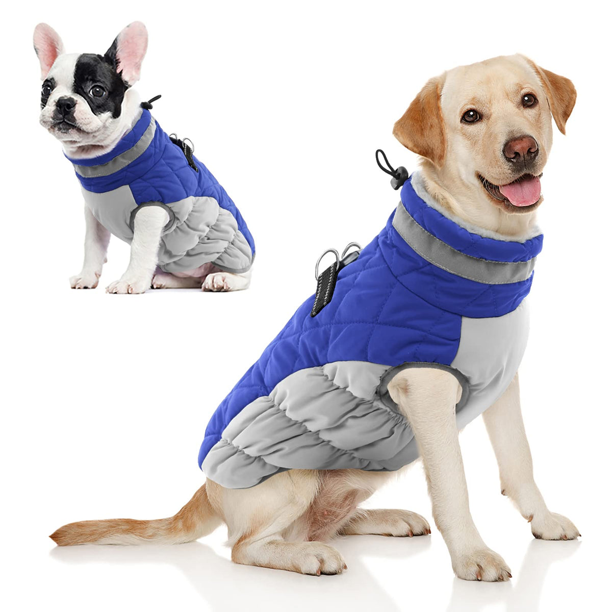 Aofitee Winter Dog Coat Warm Fleece Dog Jacket For Cold Weather, Reflective Zip Up Puppy Dog Sport Vest With Leash Rings, Outdoor Pet Sweater Apparel Clothes For Small Medium Large Dogs, Blue Xl