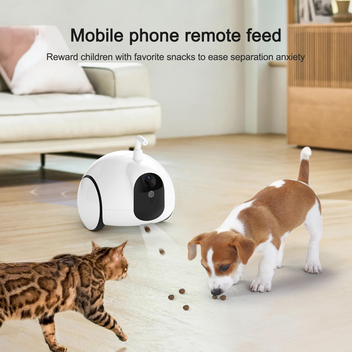 Pumpkii Pet Camera Treat Dispenser, Moving Pet Robot With Phone App, Cat Camera With Interactive Pointer Toy, Night Vision, Two-