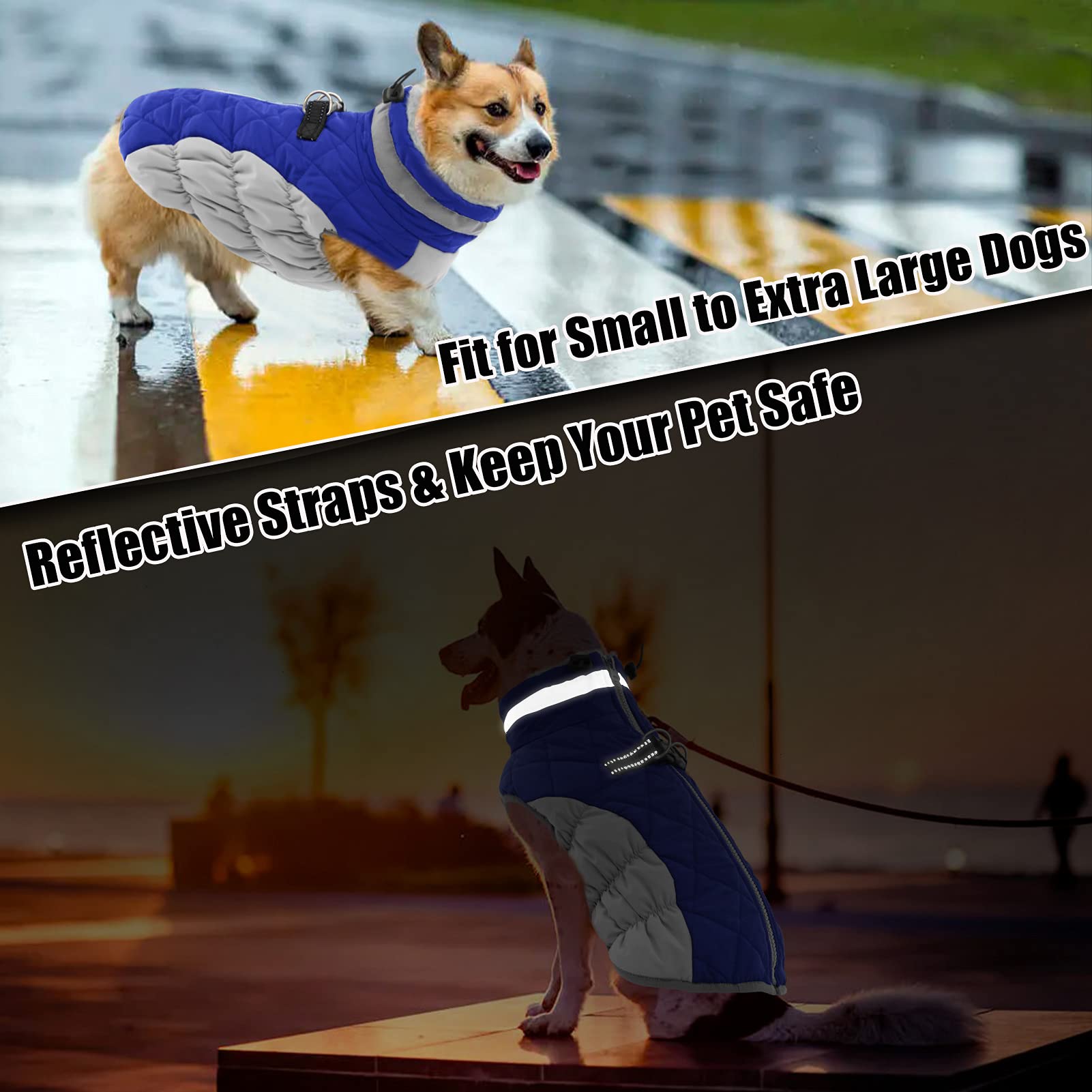 Aofitee Winter Dog Coat Warm Fleece Dog Jacket For Cold Weather, Reflective Zip Up Puppy Dog Sport Vest With Leash Rings, Outdoor Pet Sweater Apparel Clothes For Small Medium Large Dogs, Blue M