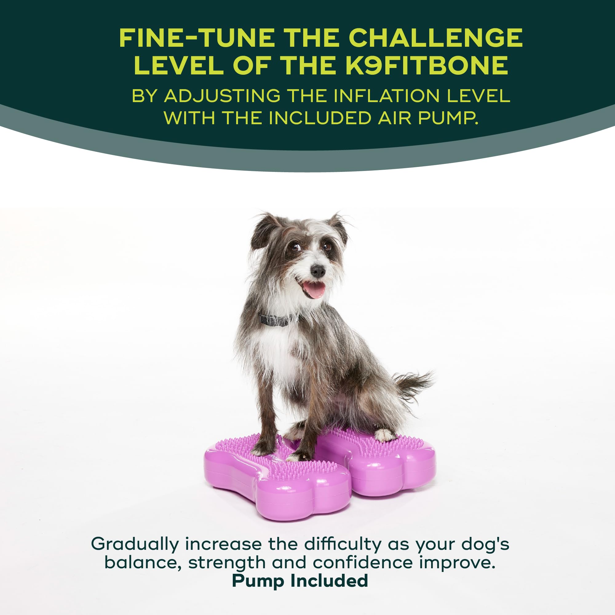 Fitpaws?K9Fitbone?- Mini, Razzleberry (Set Of 2) | Dog Balance Training Platform & Exercise Equipment | Workout Tool For Strength, Core & Stability
