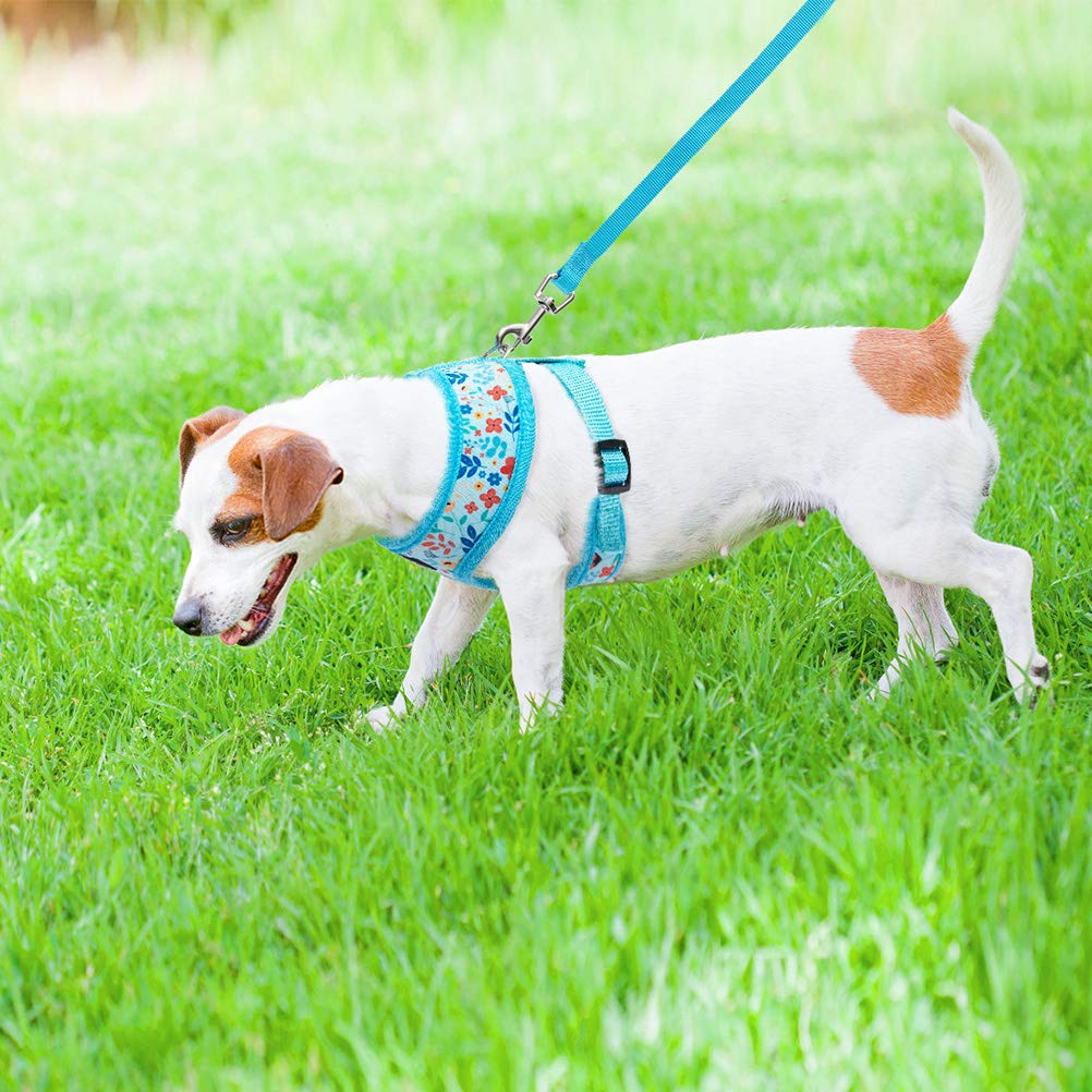Pupteck Soft Mesh Dog Harness And Leash Set Pet Puppy Cat Comfort Padded Vest No Pull Harnesses, Blue Floral, S