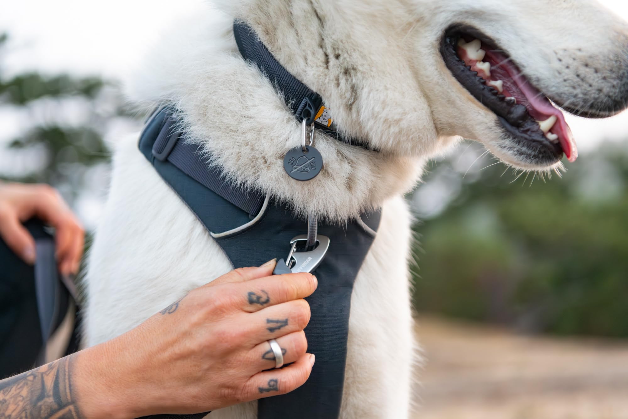 Ruffwear, Front Range Dog Collar, Durable And Comfortable Collar For Everyday Use, Coastal Fade, 11''-14''