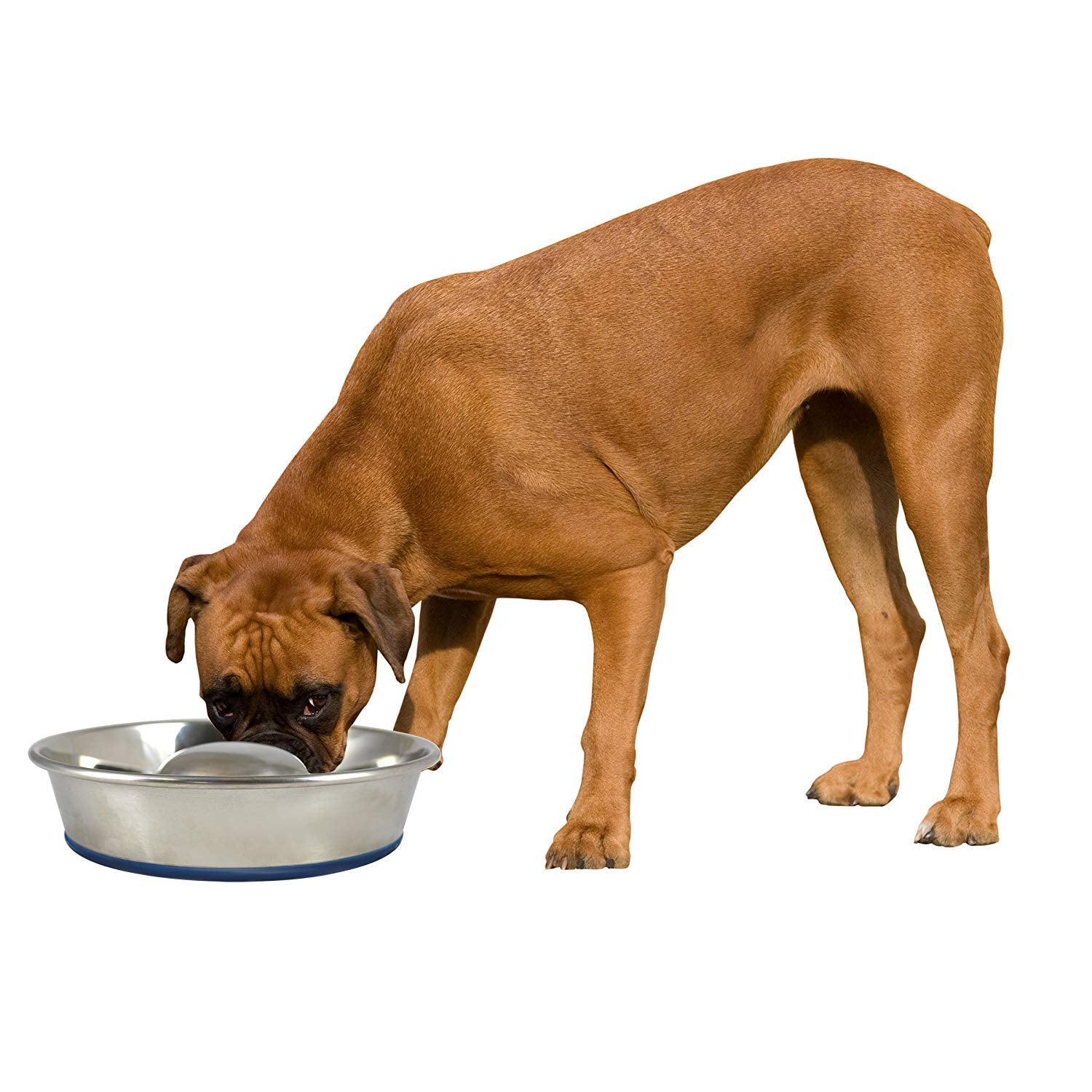 Our Pets Durapet Slow Feed Premium Stainless Steel Dog Bowl, Silver, Large (2040010302)