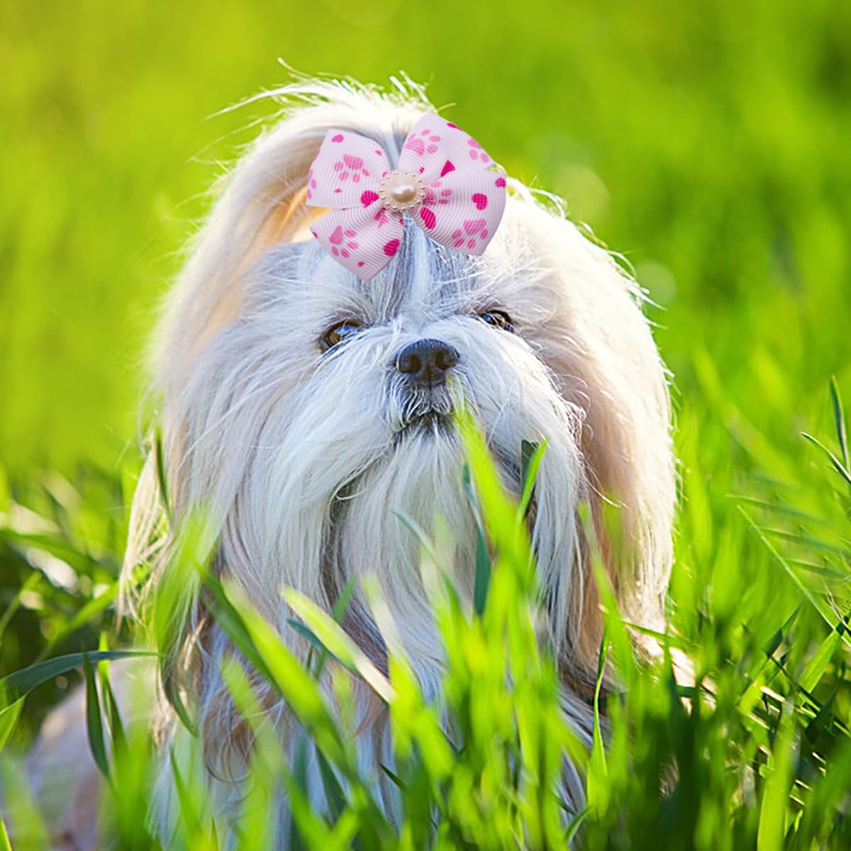 Pet Show 20Pcs Dog Hair Bows With Alligator Clips For Small Medium Dogs Bowknot Hair Clips Cat Puppy Yorkshire Grooming Hair Acc