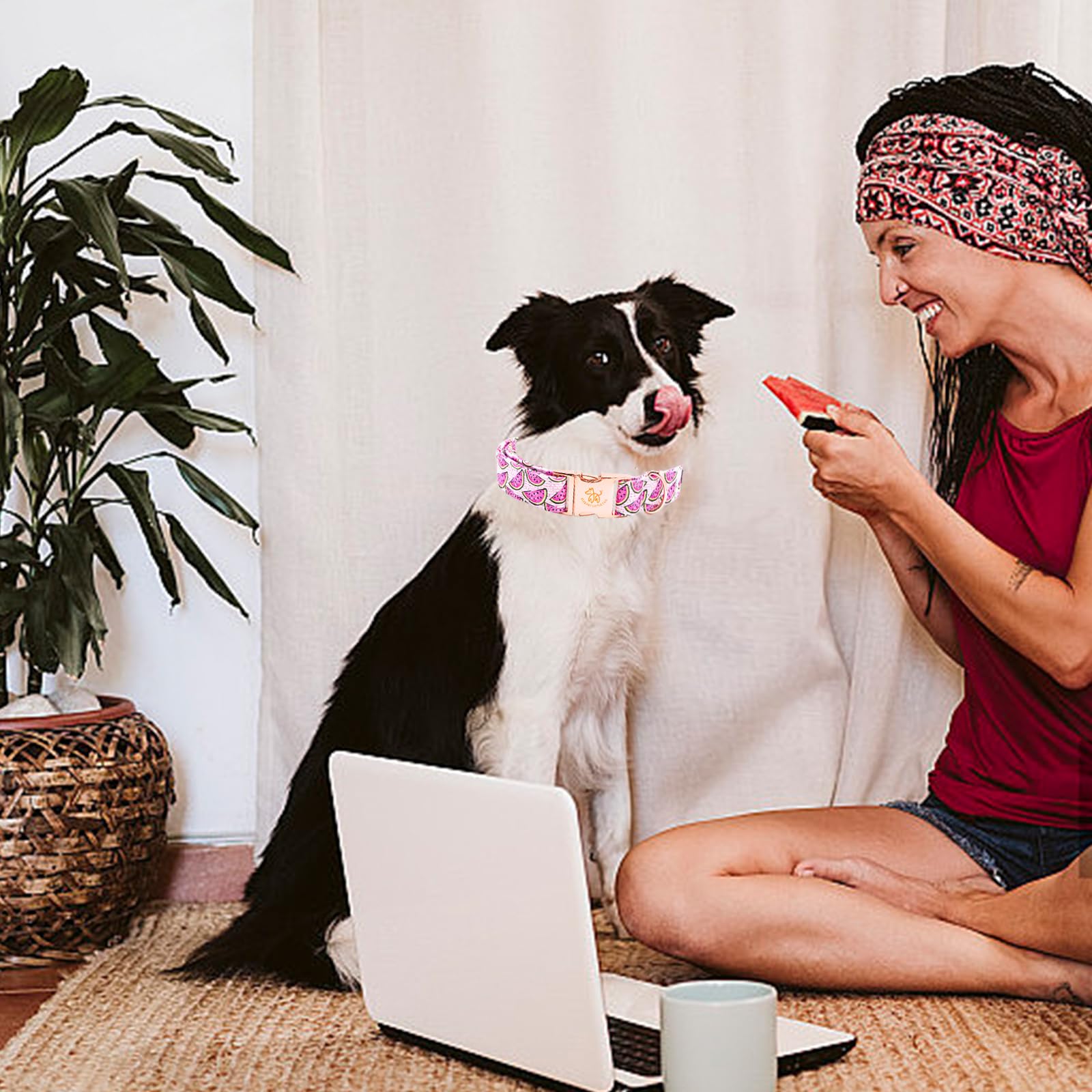 Elegant Little Tail Watermelon Print Summer Dog Collar - Cotton, Durable, Metal Buckle For X-Small Dogs