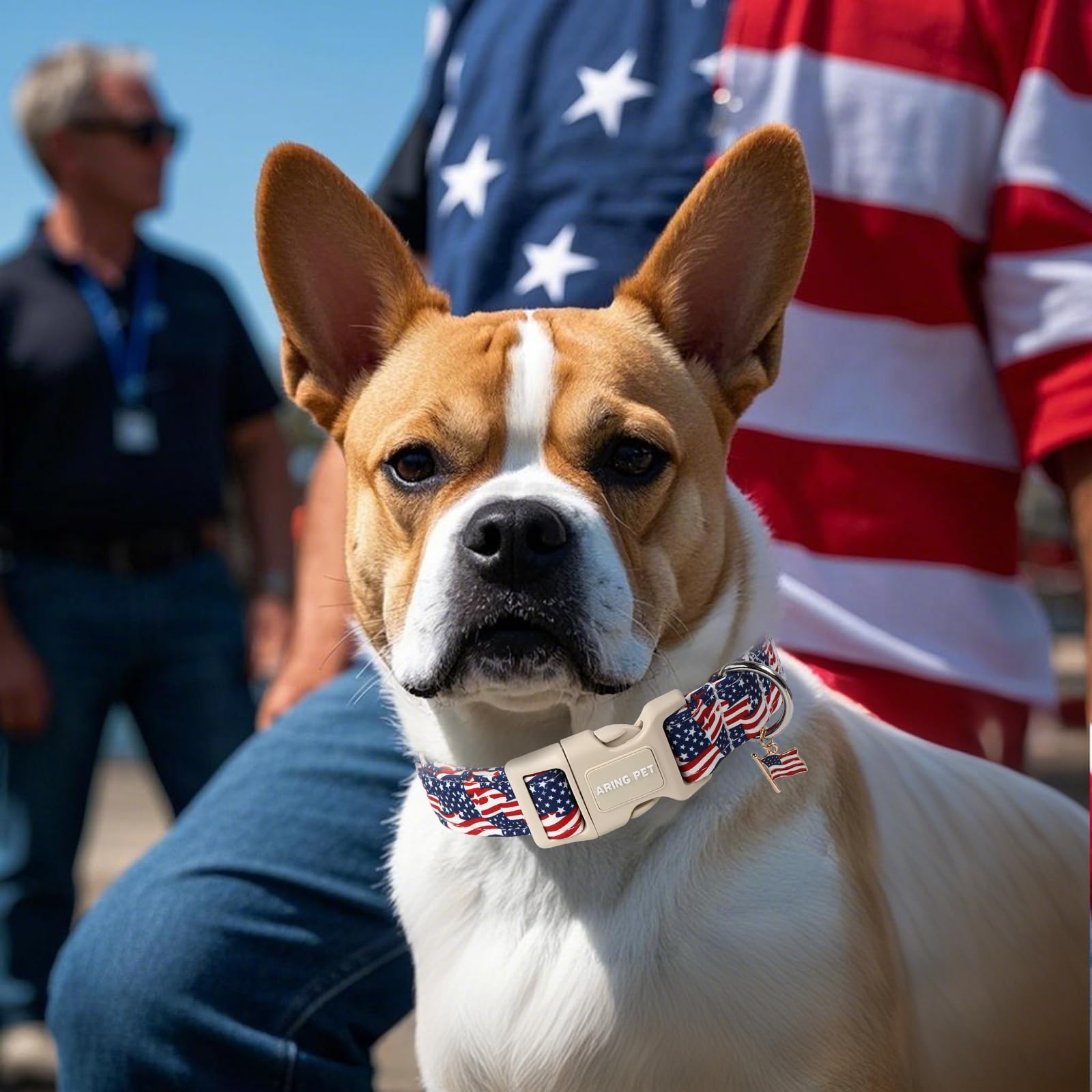 Aring Pet American Flag Dog Collar-Cute 4Th Of July Dog Collars, Adjustable Patriotic Pet Collars Puppy Collar With Quick Releas