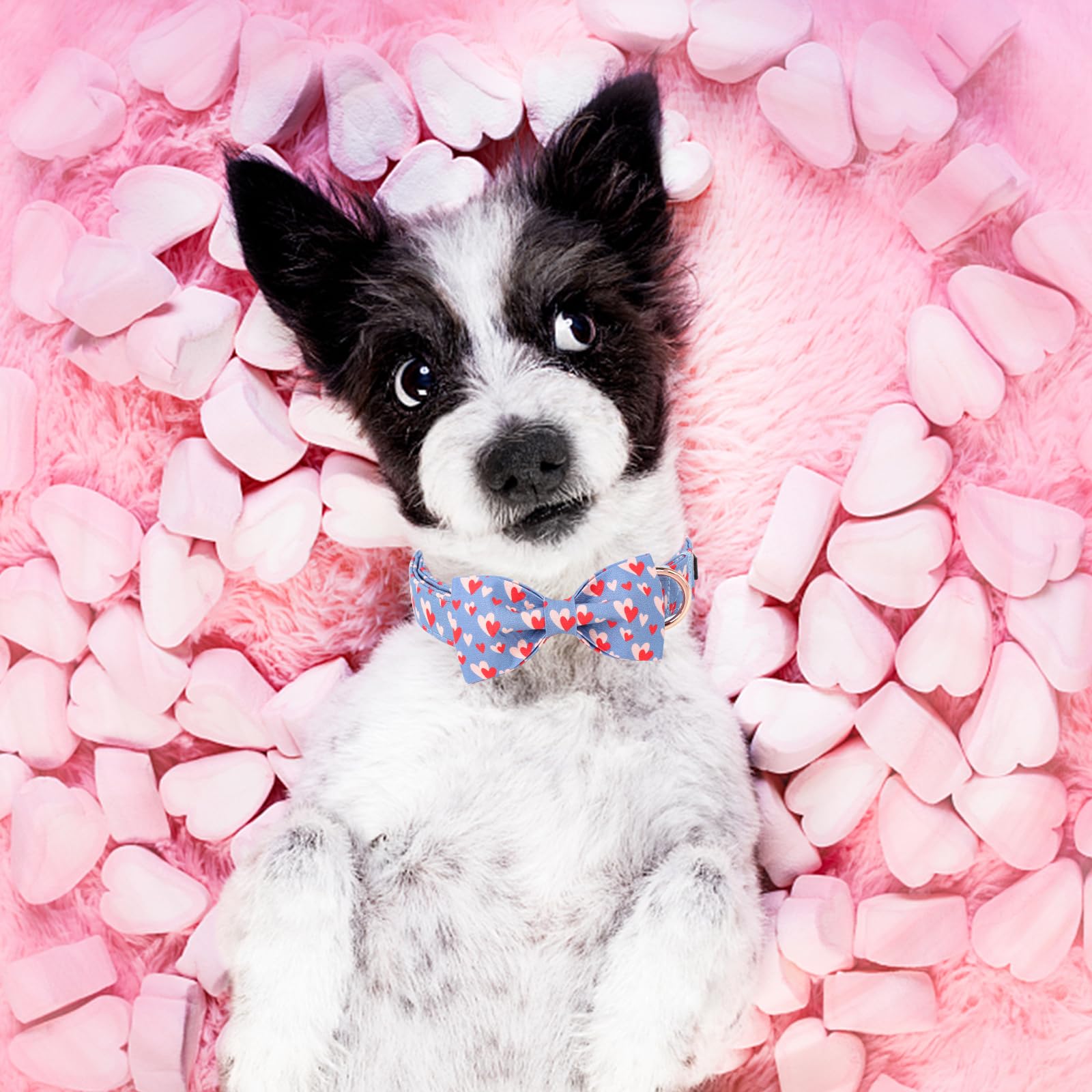 Unique Style Paws Valentine'S Day Dog Collar With Bow Tie Red Blue Pink Heart Love Puppy Collar Best Gothic Style Gift For Small