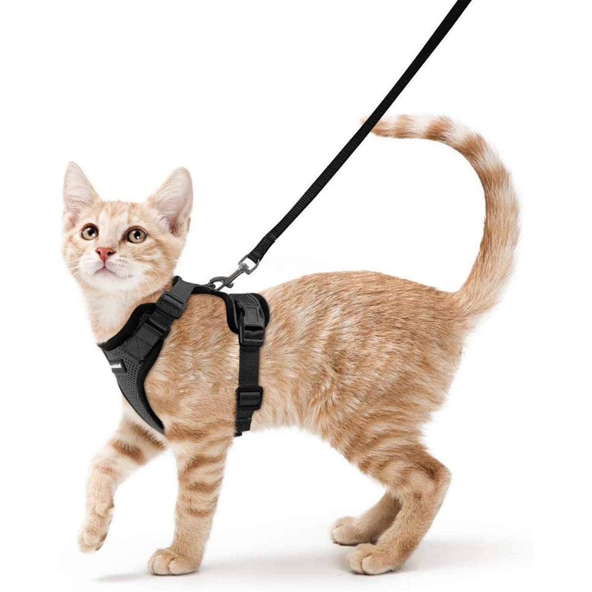 Rabbitgoo Cat Harness And Leash For Walking, Escape Proof Soft Adjustable Vest Harnesses For Cats, Easy Control Breathable Refle