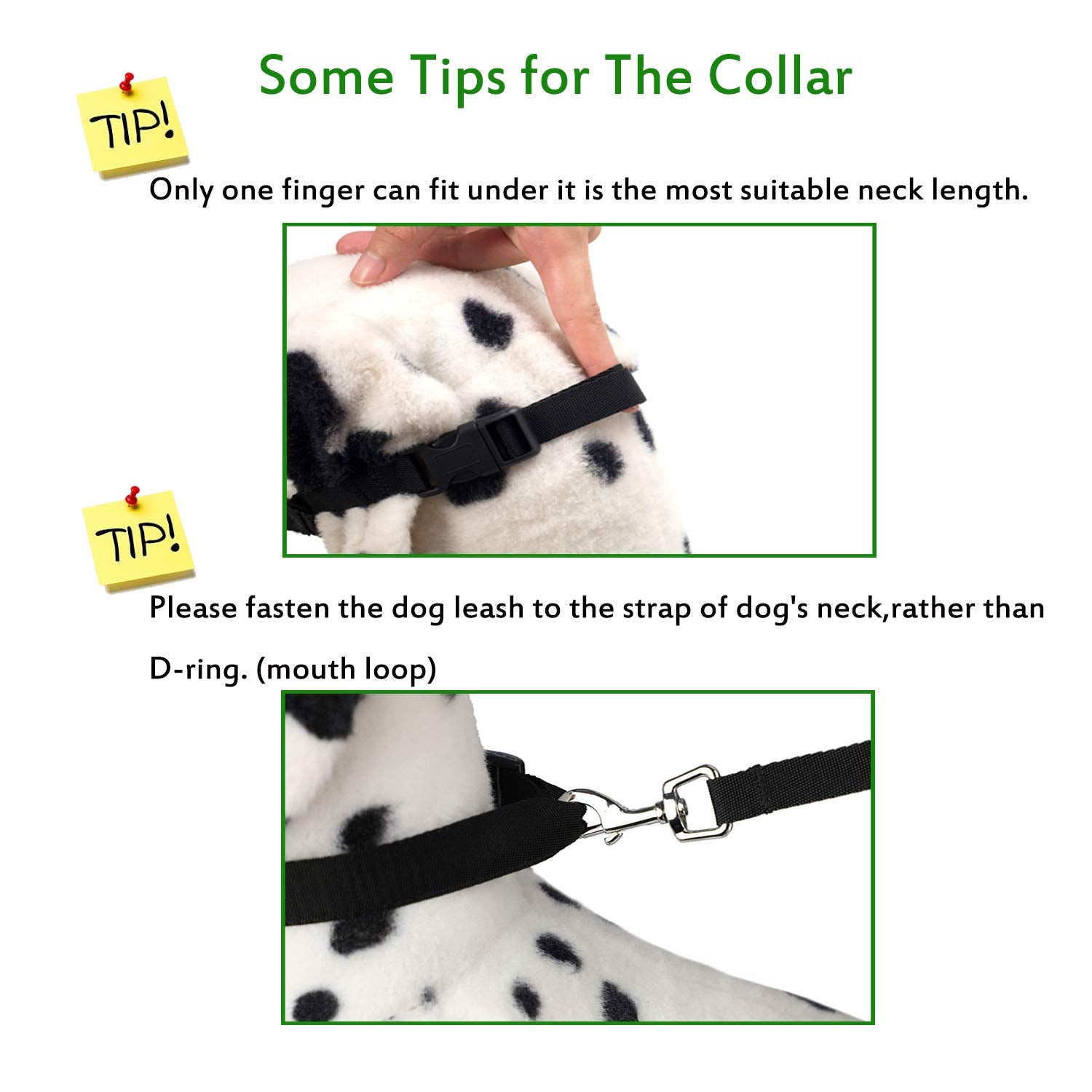 Wintchuk Dog Head Collar With Soft Fabric, Head Harness Stops Dog Pulling, Head Leash For Small Medium Large Dogs Walking (L, Green)