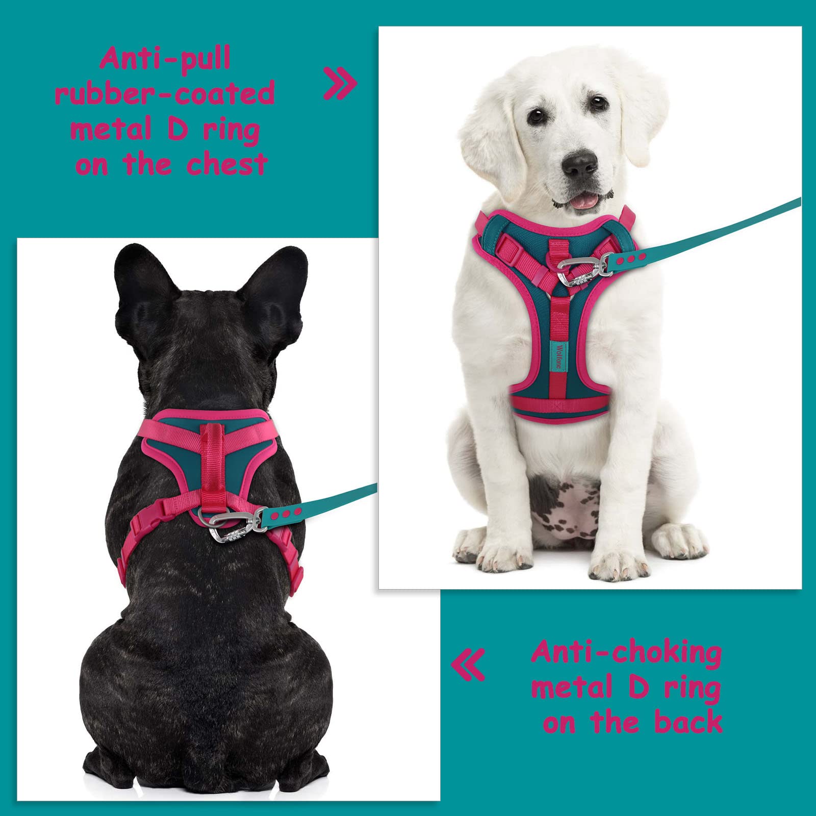 Wolfone No Pull Dog Harness Adjustable Soft Padded Pet Vest With Control Handle Adorable Daily Harness For Dogs(Viridian Green S
