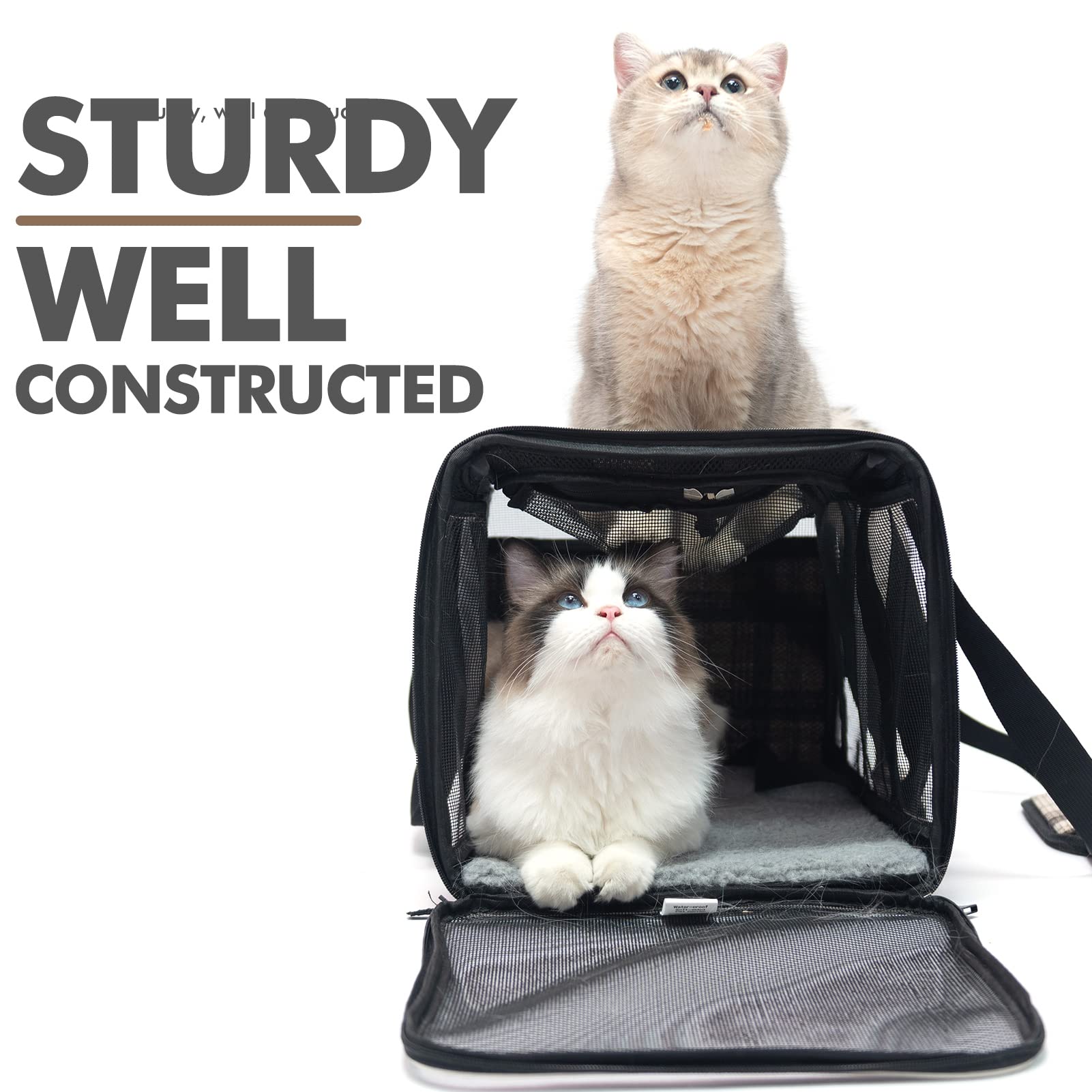 Expawlorer Cat Carrier Large, Soft-Sided Pet Carrier For Cat,Top Load Cat Travel Carriers For Medium Cats Under 25, Airline Appr
