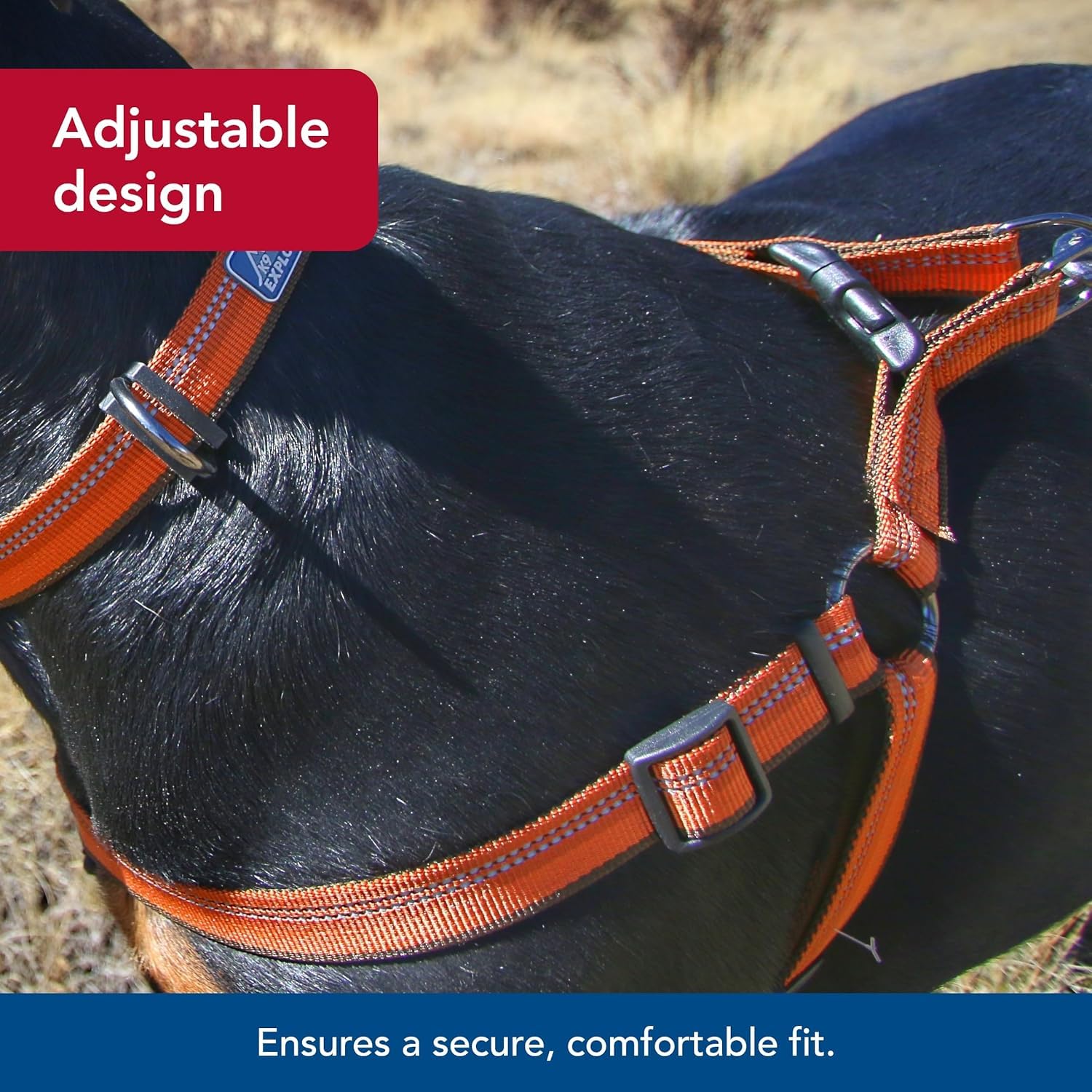 Coastal Pet K9 Explorer Reflective Adjustable Padded Dog Harness - Plush Chest Pad for Comfort - No-Pull Dog Harness for Small a