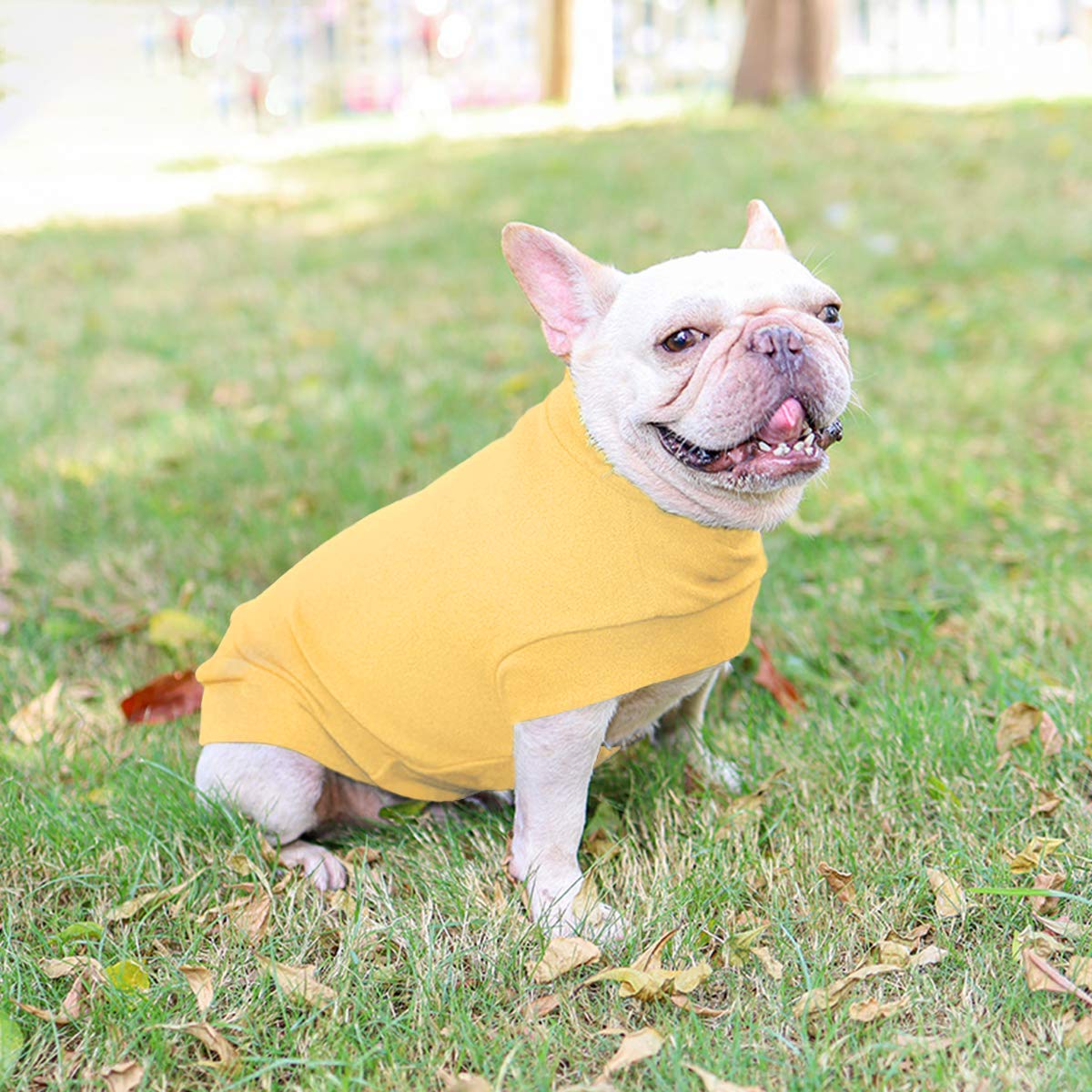 Small Dogs Fleece Dog Sweatshirt - Cold Weather Hoodies Spring Soft Vest Thickening Warm Cat Sweater Puppy Clothes Sweater Winter Sweatshirt Pet Pajamas For Small Dog Cat Puppy (Small, Yellow)