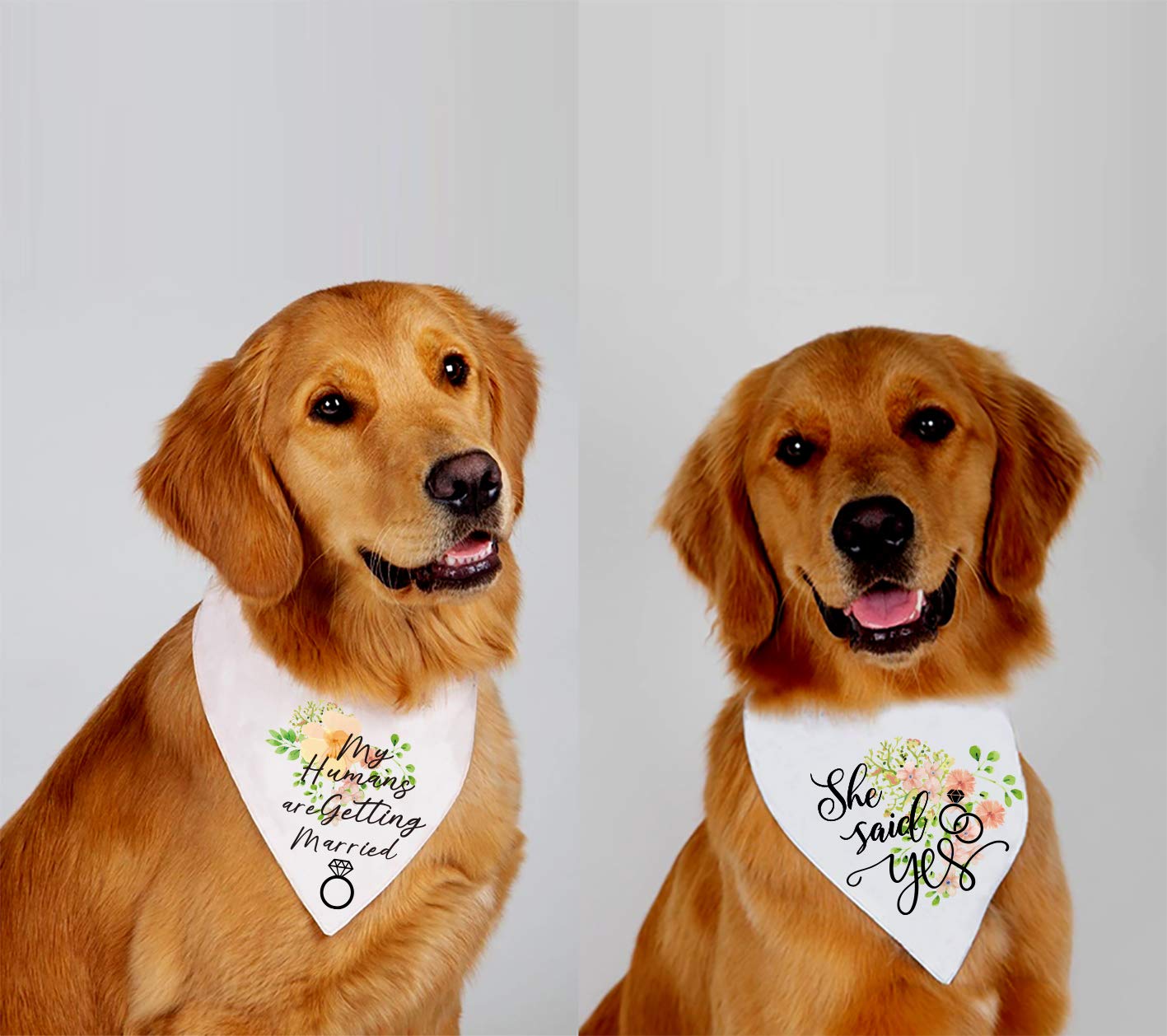 Family Kitchen My Humans Are Getting Wedding Married And She Said Yes Dog Bandana,Pet Scarf Accessories,Pet Accessories For Dog