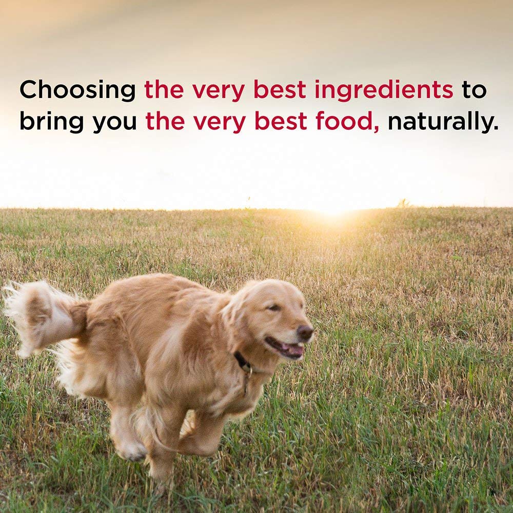 Diamond Naturals Light Real Meat Recipe Premium Dry Dog Food To Help Support Weight Management With Real Pasture Raised Lamb Pro