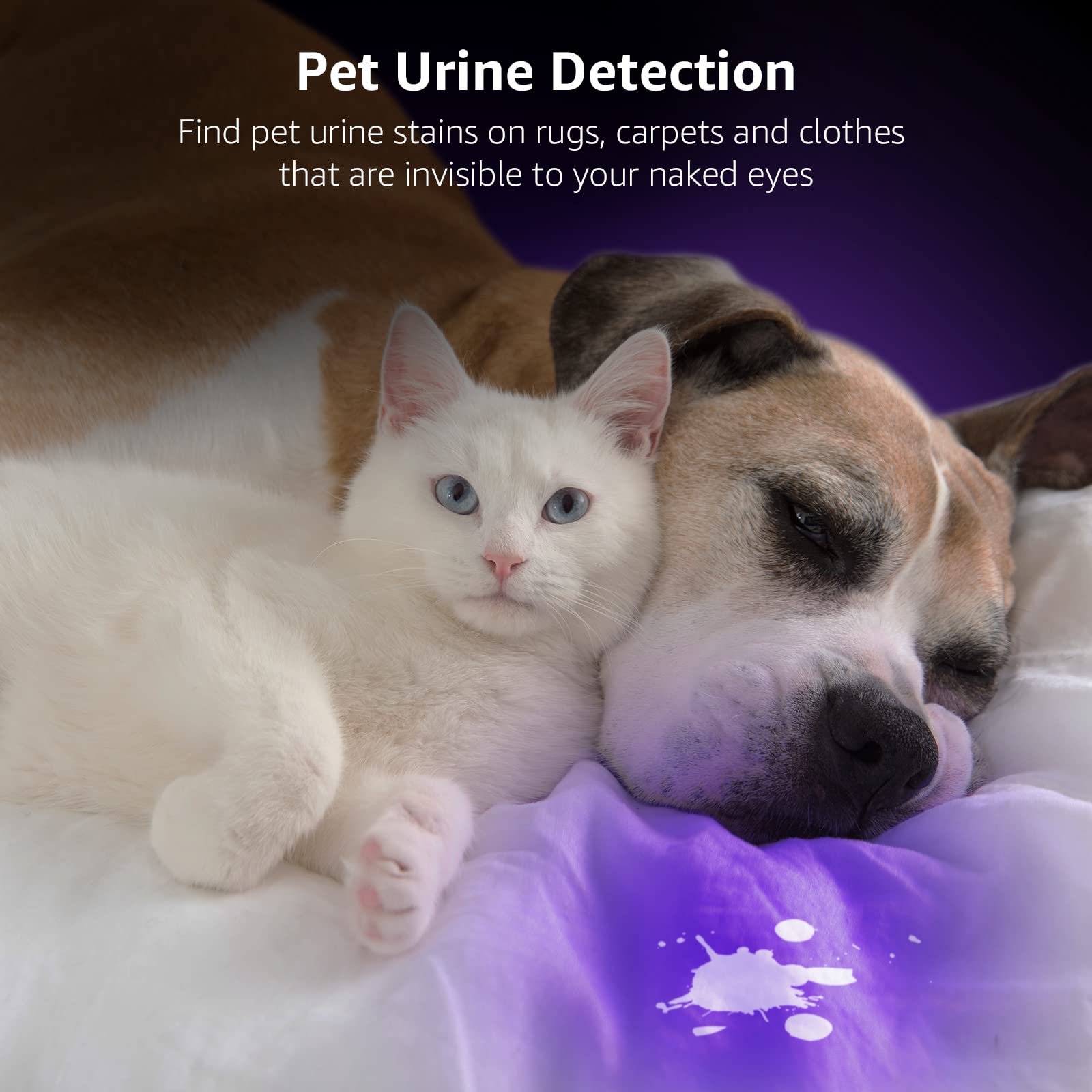 Lepro UV Flashlight Black Light, 51 LED UV Light Handheld Blacklight, 395nm Detector for Pet Urine, Stains, Bed Bug and Scorpion