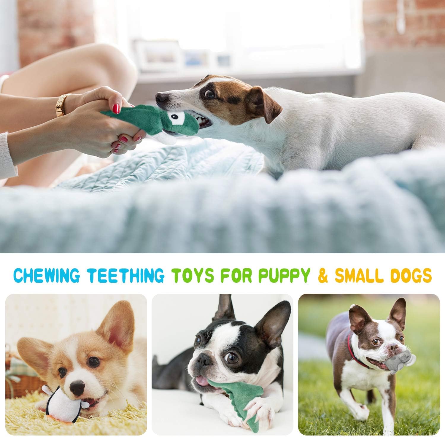 LEGEND SANDY Squeaky Dog Toys for Puppy Small Medium Dogs, Stuffed Samll Dog Toys Bulk with Plush Pet Doggie Toy Set, Cute Safe