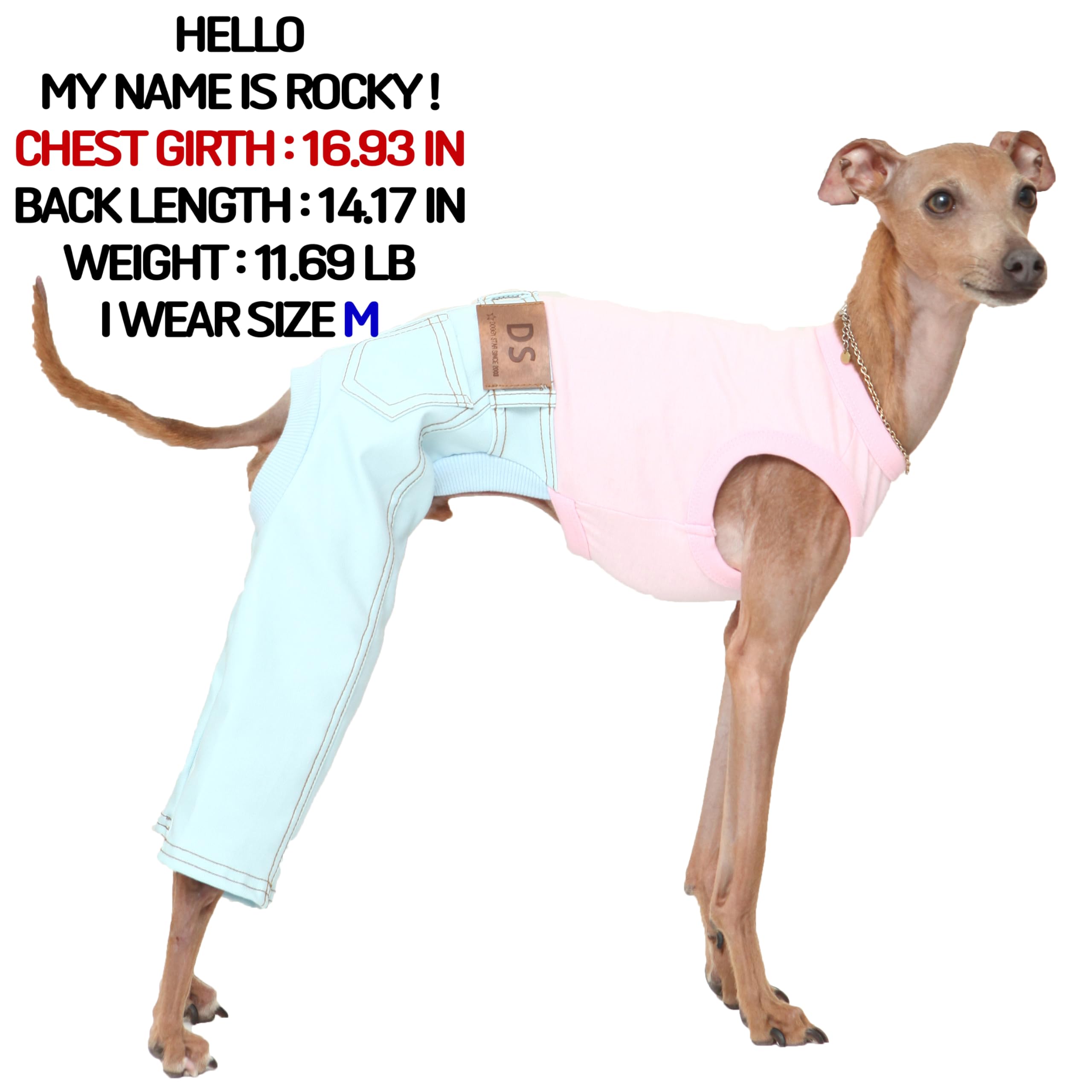 D Doggy Star Italian Greyhound Clothes Sleeveless Jeans Onesie Outfit Whippet For Dog Coat (M,Sky Blue Jean)