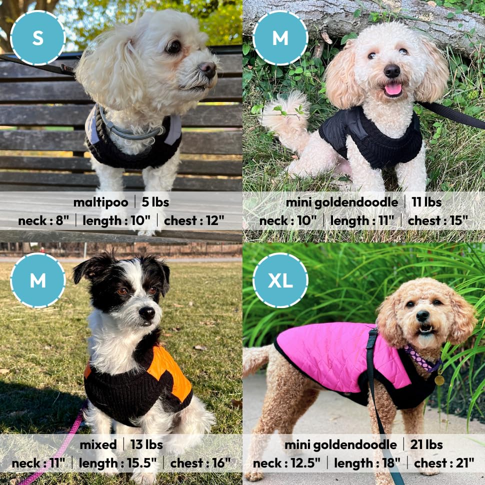 Gooby - Fashion Vest, Small Dog Sweater Bomber Jacket Coat with Stretchable Chest, Blue, Medium