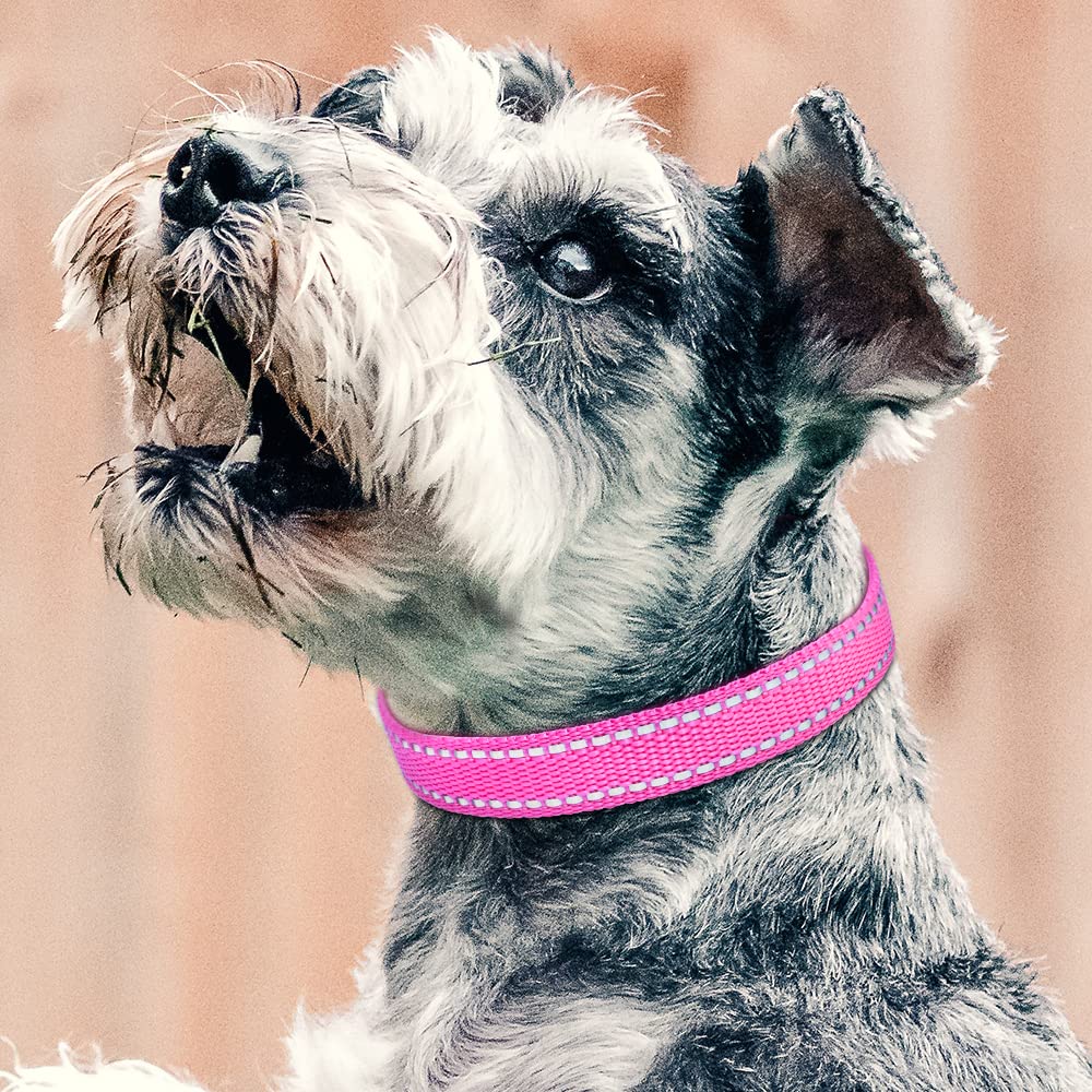 Petjoy Shock Collar Replacement Collar Strap, Reflective Dog Collars Strong, Durable & Adjustable Dog Collar- 2 Piece Set Collar