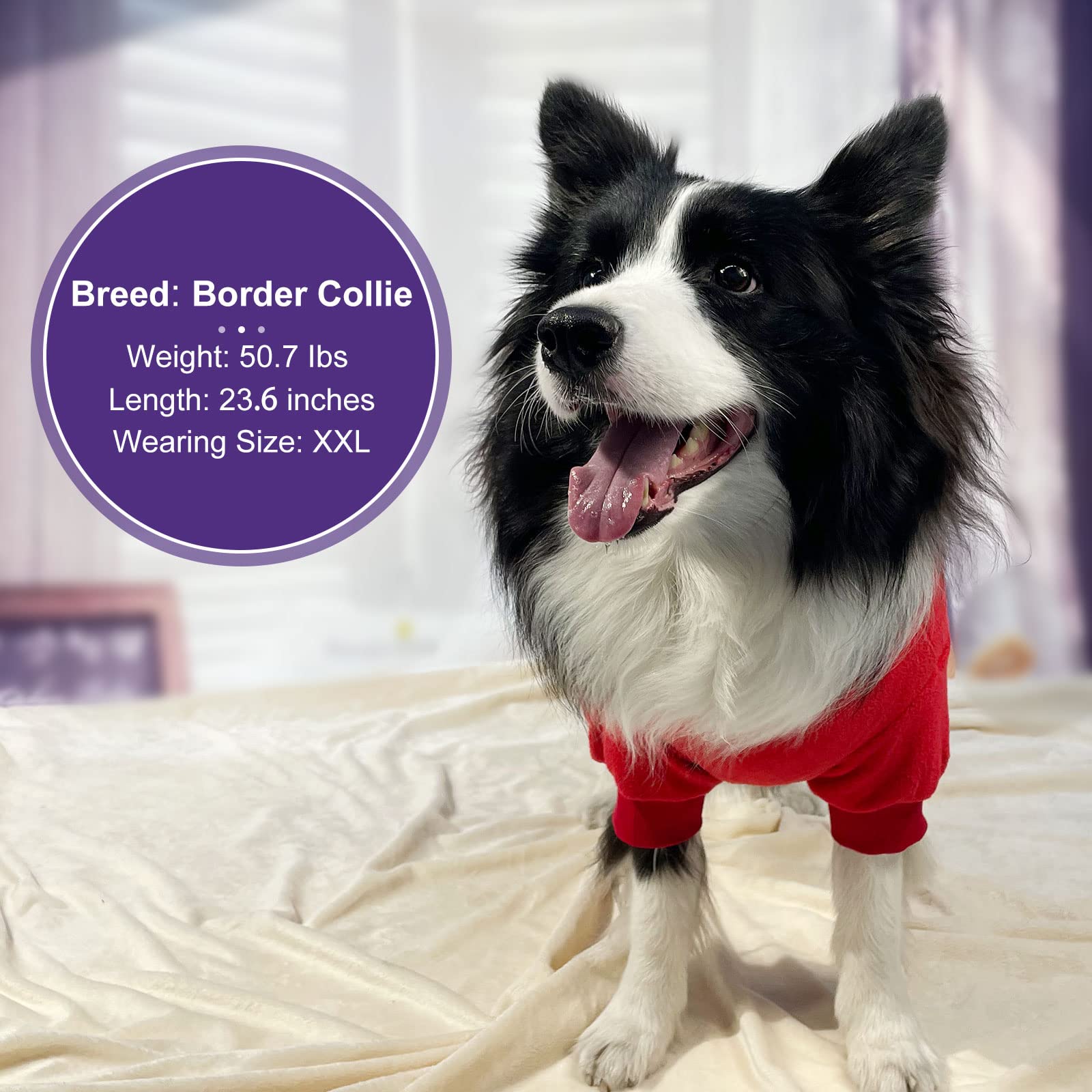 Cyeollo Dog Pajamas Turtleneck Thermal Dog Pjs Fleece Stretchy Jumpsuits Dog Winter Warm Clothes Medium Dog Pajamas For Cold Weather Color Red