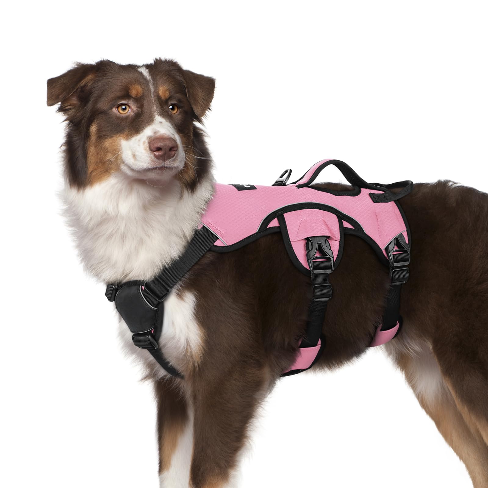 Rabbitgoo Escape Proof Dog Harness Medium, Soft Padded Full Body Pet Harness, Reflective Adjustable No Pull Vest With Lift Handl