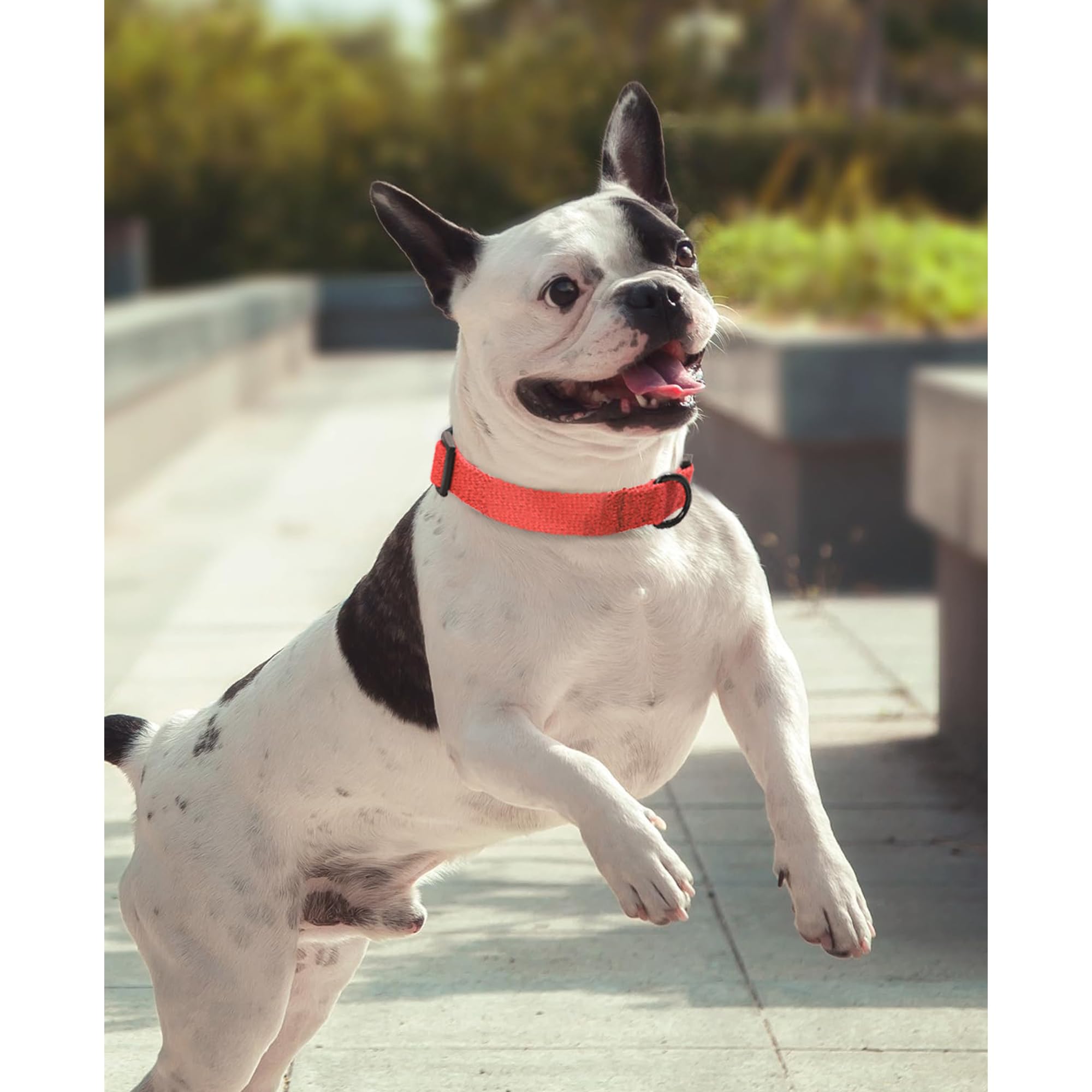 Mile High Life Soft & Strong Poly Cotton Collar - Adjustable With Quick Release Buckle For Small To Large Dogs, Red
