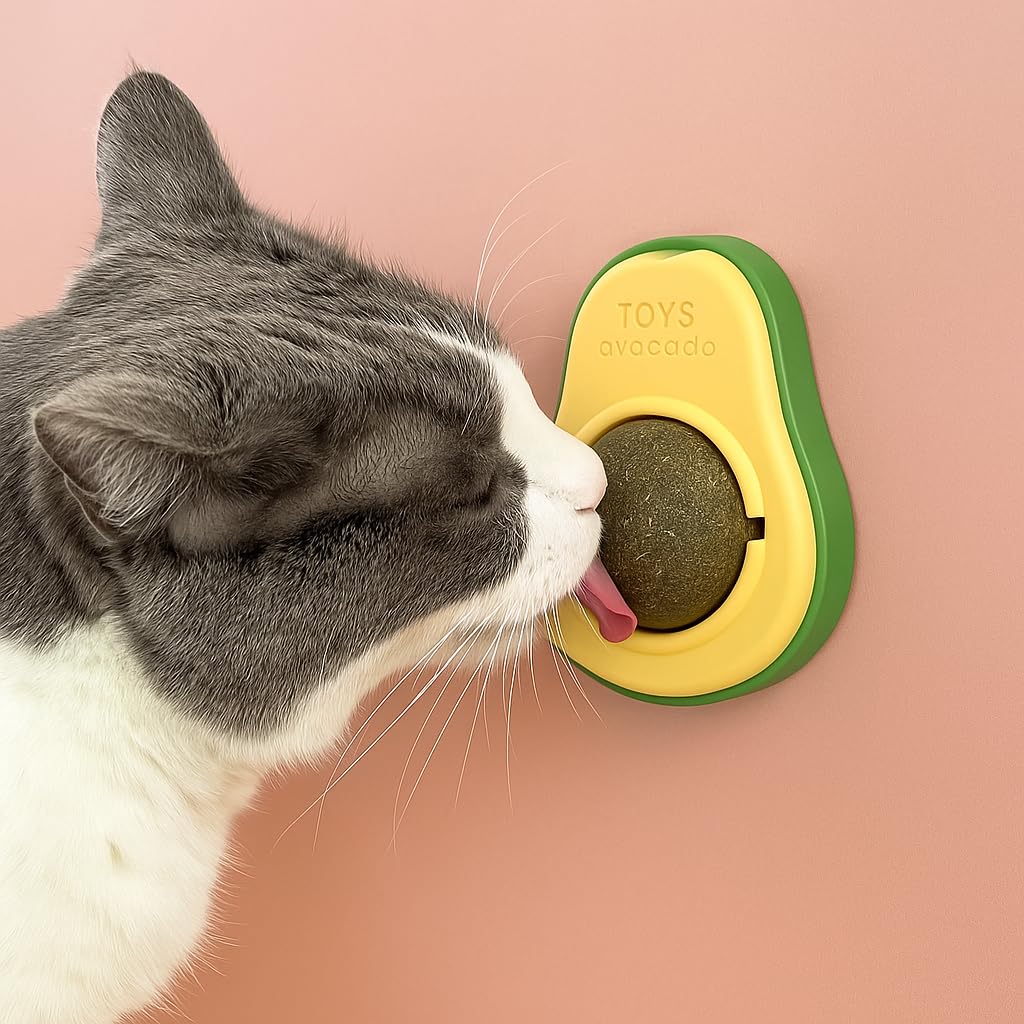 Petpals Catnip Toy 1Pc | 360 Degree Rotation Catnip Mint Wall Toy For Cats | Natural Healthy Teeth Cleaning & Hairball Removing 
