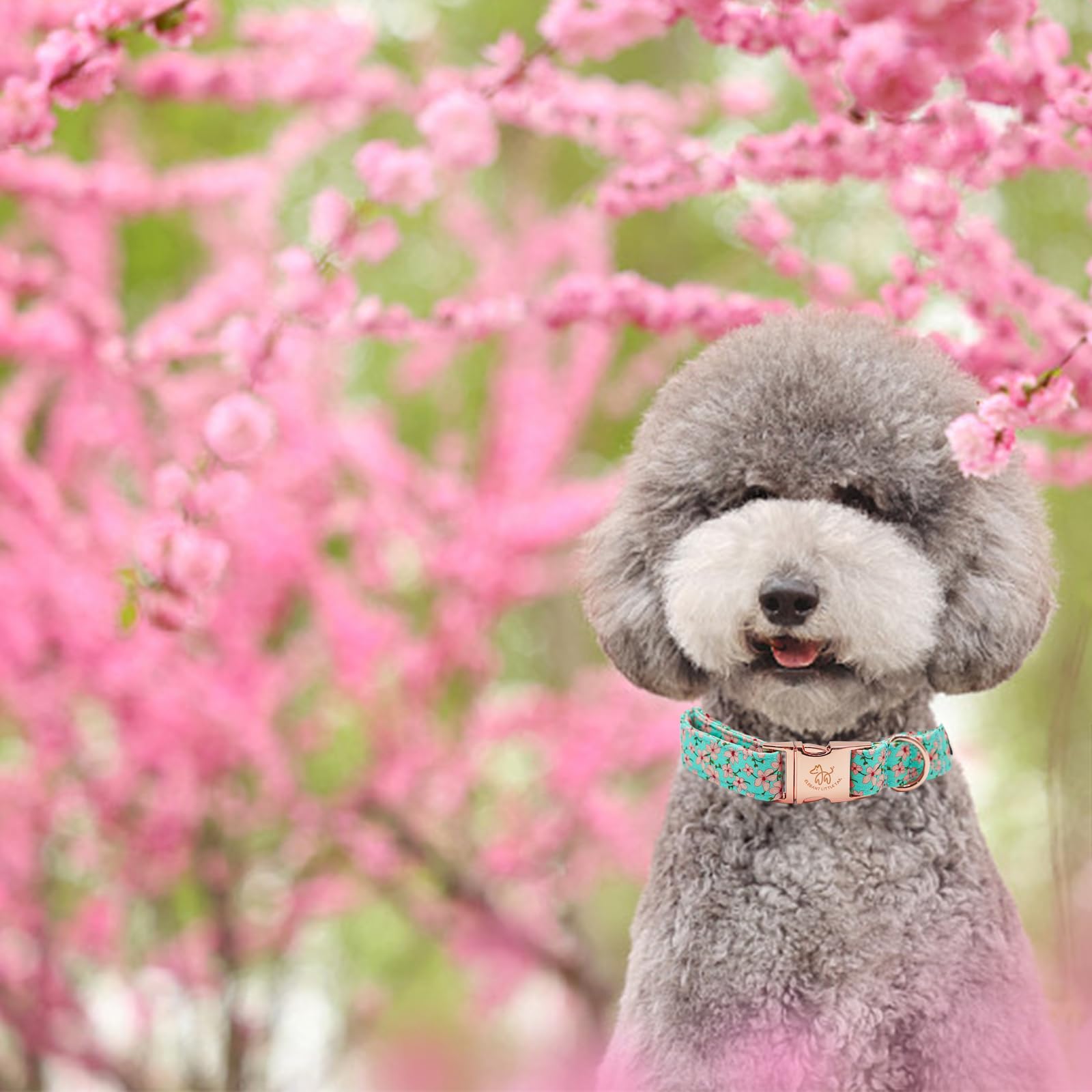 Elegant Little Tail Pink Floral Print Summer Dog Collar - Cotton, Durable, Metal Buckle For Small Dogs