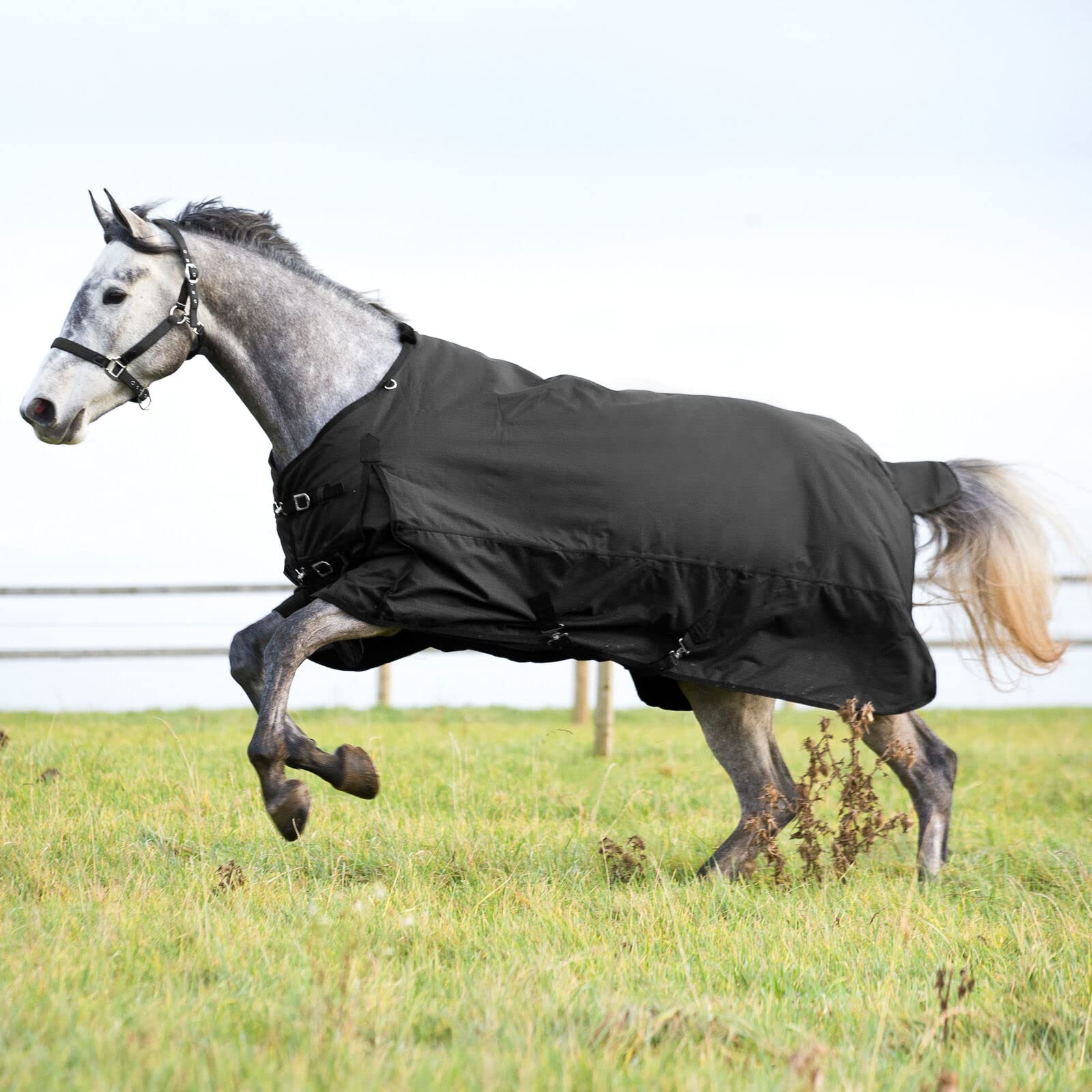 HORZE Nevada Medium Weight 1200D Waterproof Horse Turnout Blanket (200g Fill) - Black - 60 in