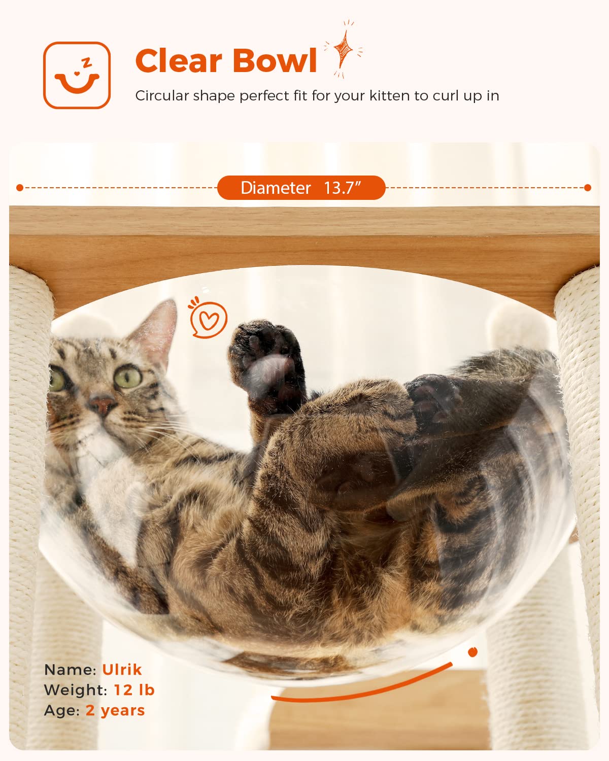 Muttros Wooden Cat Tree, 50'' Modern Cat Tower With 2-Floor Condo, Cat Furniture Sisal Scratching Posts, Capsule Nest And Dangli