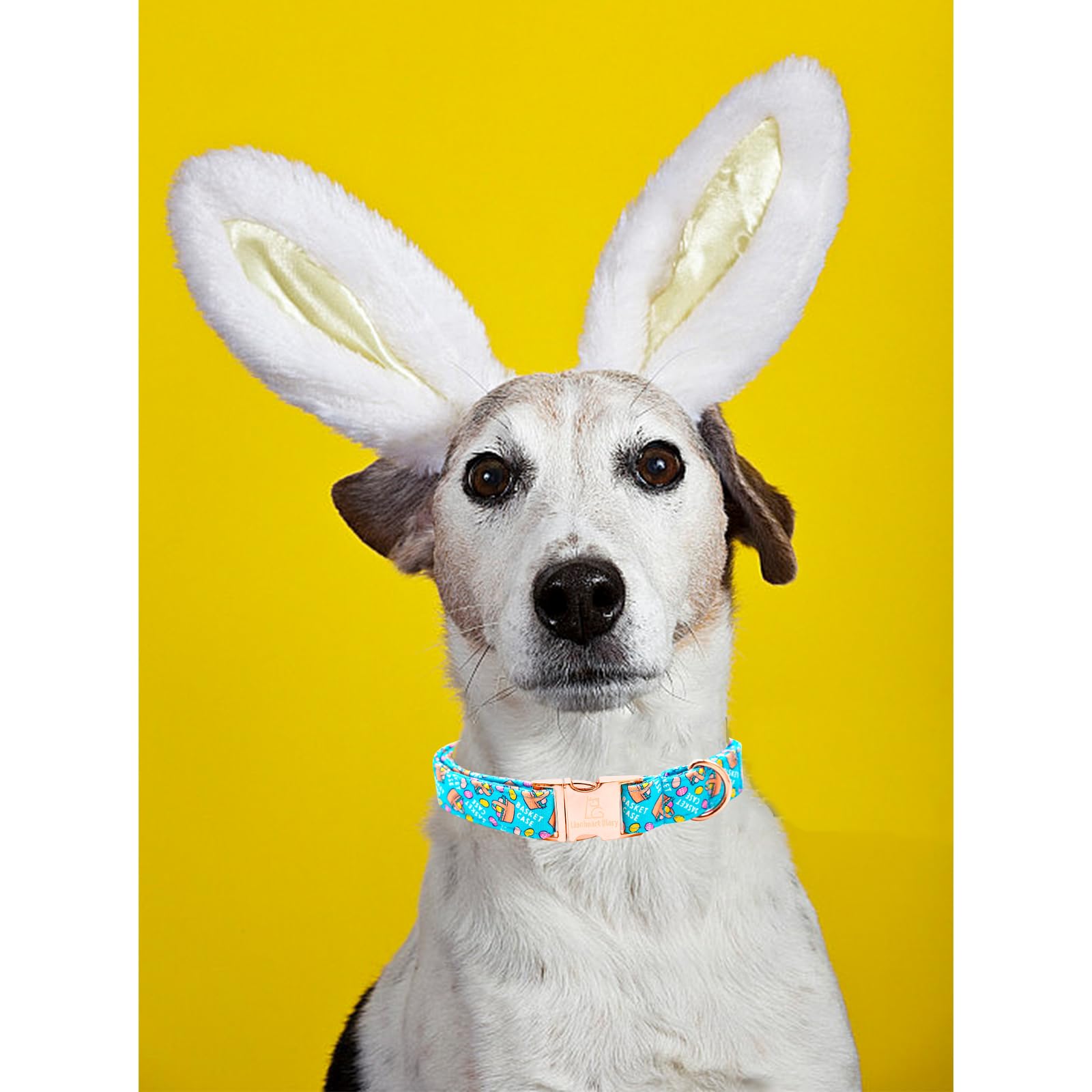 Lionheart Glory Easter Dog Collar Colorful Collar For Medium Dog Collars Easter Egg Print Dog Collars Spring Female Or Male Pet