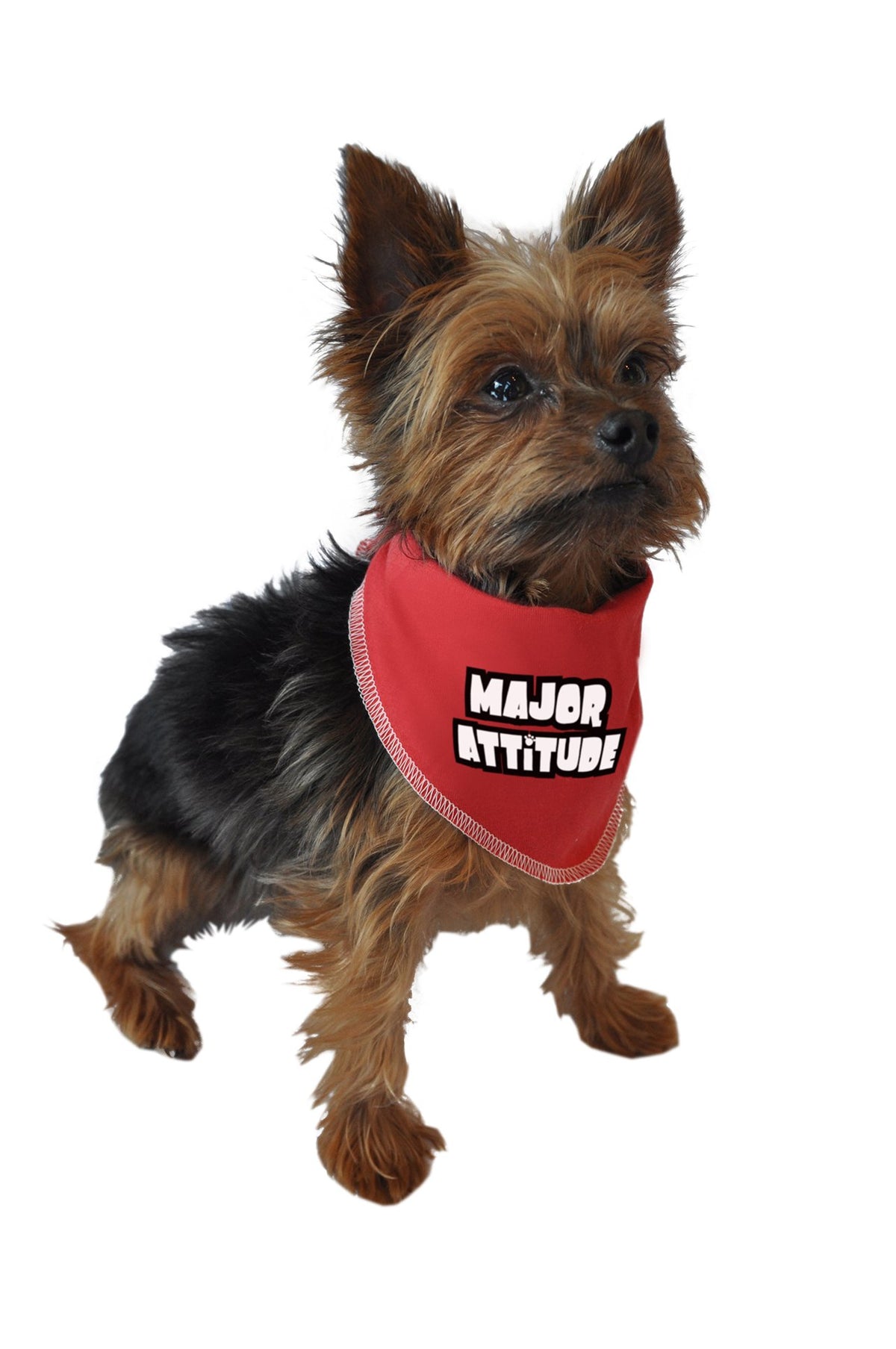 Ruff Ruff And Meow Doggie Bandana, Major Attitude, Red, Large