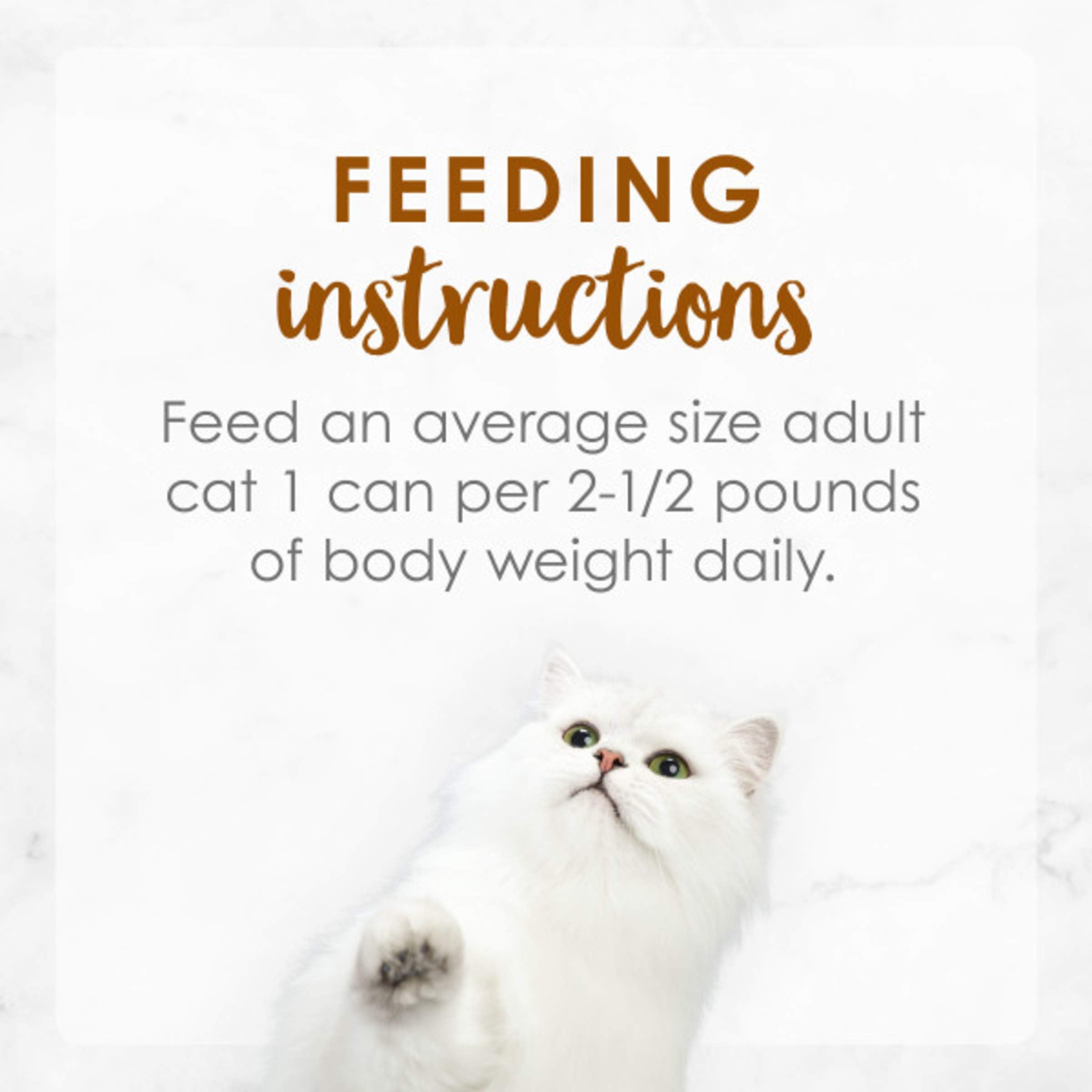 Purina Fancy Feast Medleys Tender Turkey Tuscany with Long Grain Rice and Spinach in a Savory Sauce - 3 oz. Can - (Pack of 24) 3