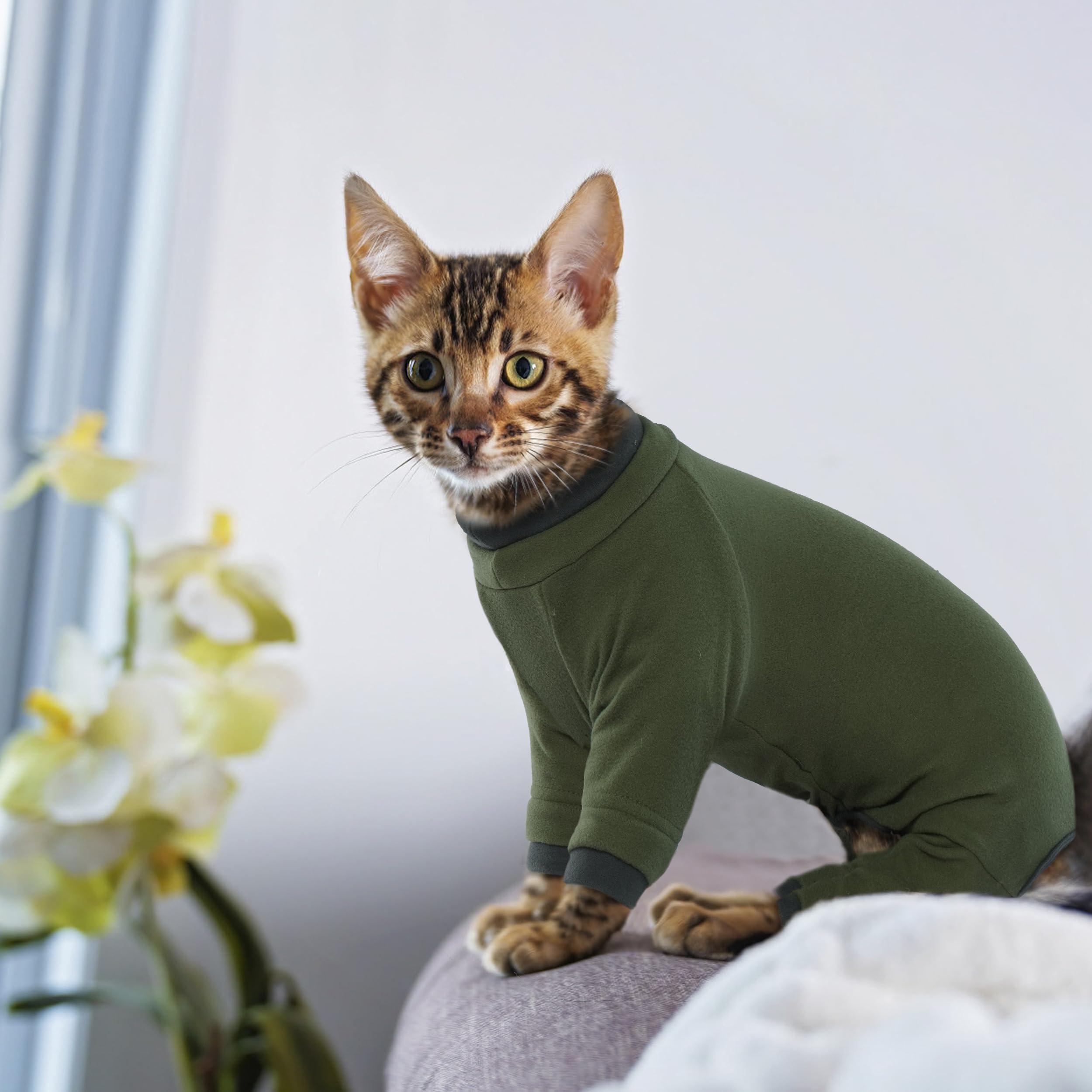 Pumyporeity Sticky Hair Cat Clothes, Prevent Loss Pajamas, Soft Sweaters For Cats Only, Onesie, Recovery Suit After Surgery, Gre