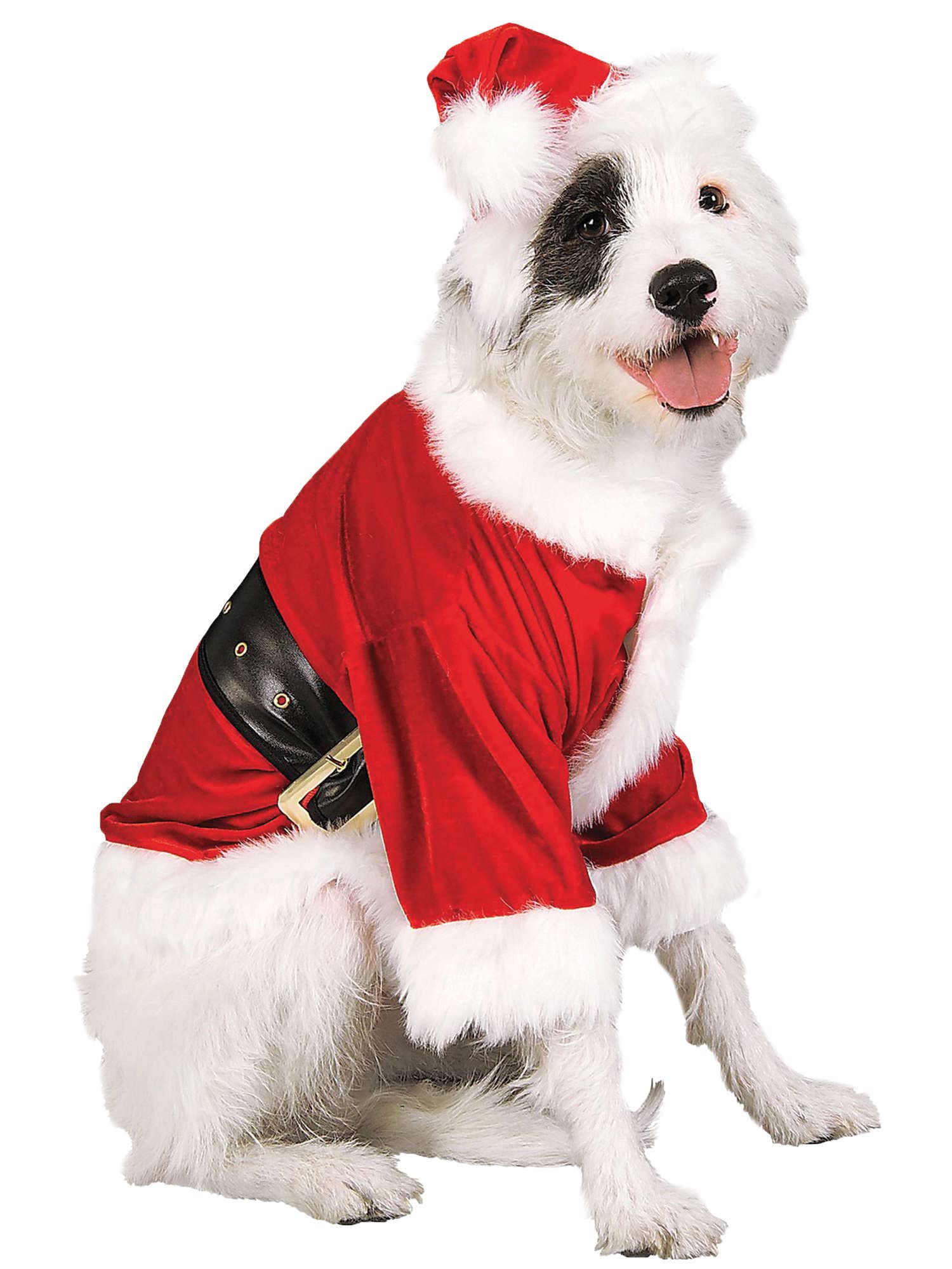 Rubies Christmas Collection Santa Claus Pet Costume, Large
