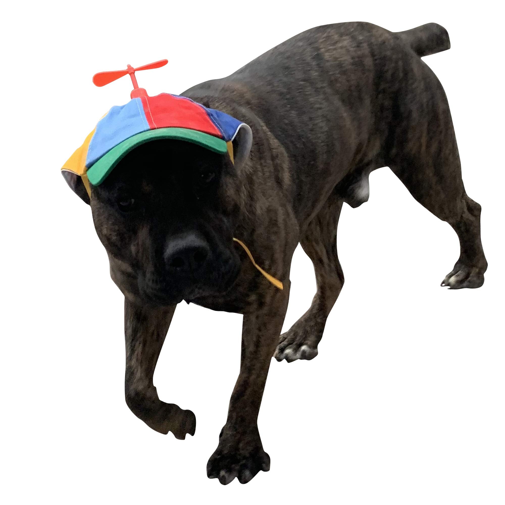 Geanbaye Dog Hats With Funny Propeller, Size And Rope Double Adjustment Pet Hats For Small ,Medium, Large Dog And Cat (Iridescent)