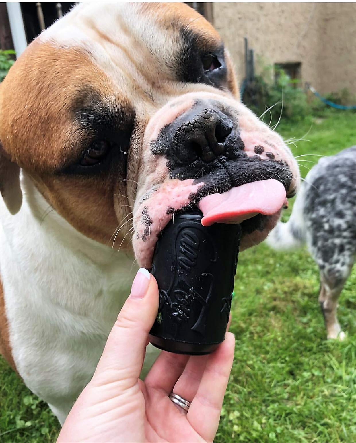 SP Magnum Can Toy Ultra Durable Rubber Chew Toy & Treat Dispenser