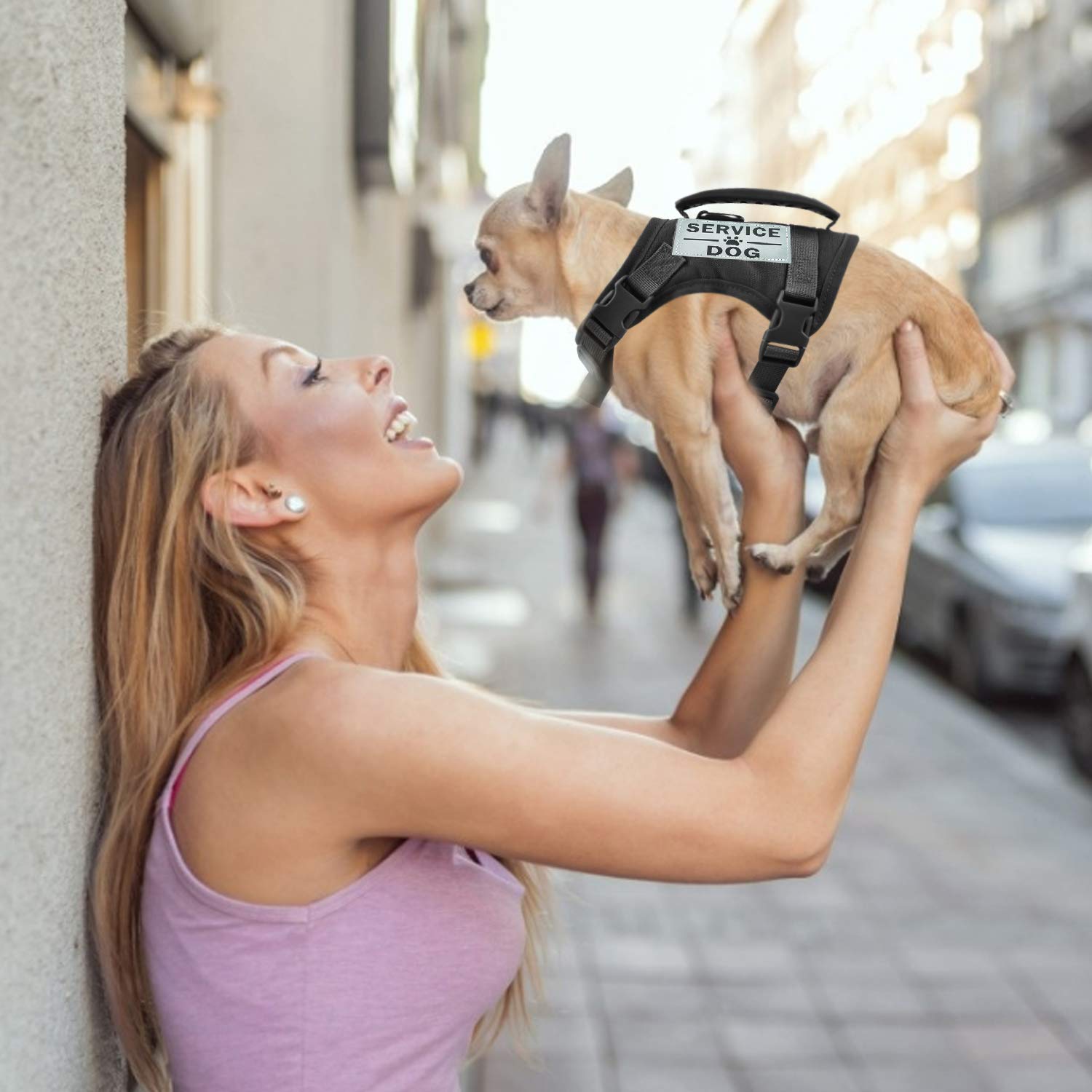 Hanshengday Tactical Service Dog Vest Harness, Outdoor Training Military K9 Patrol Dog Vest With Molle & Loop Panels Adjustable Tactical Dog Vest Harnesses With Handle (Xs, Black)