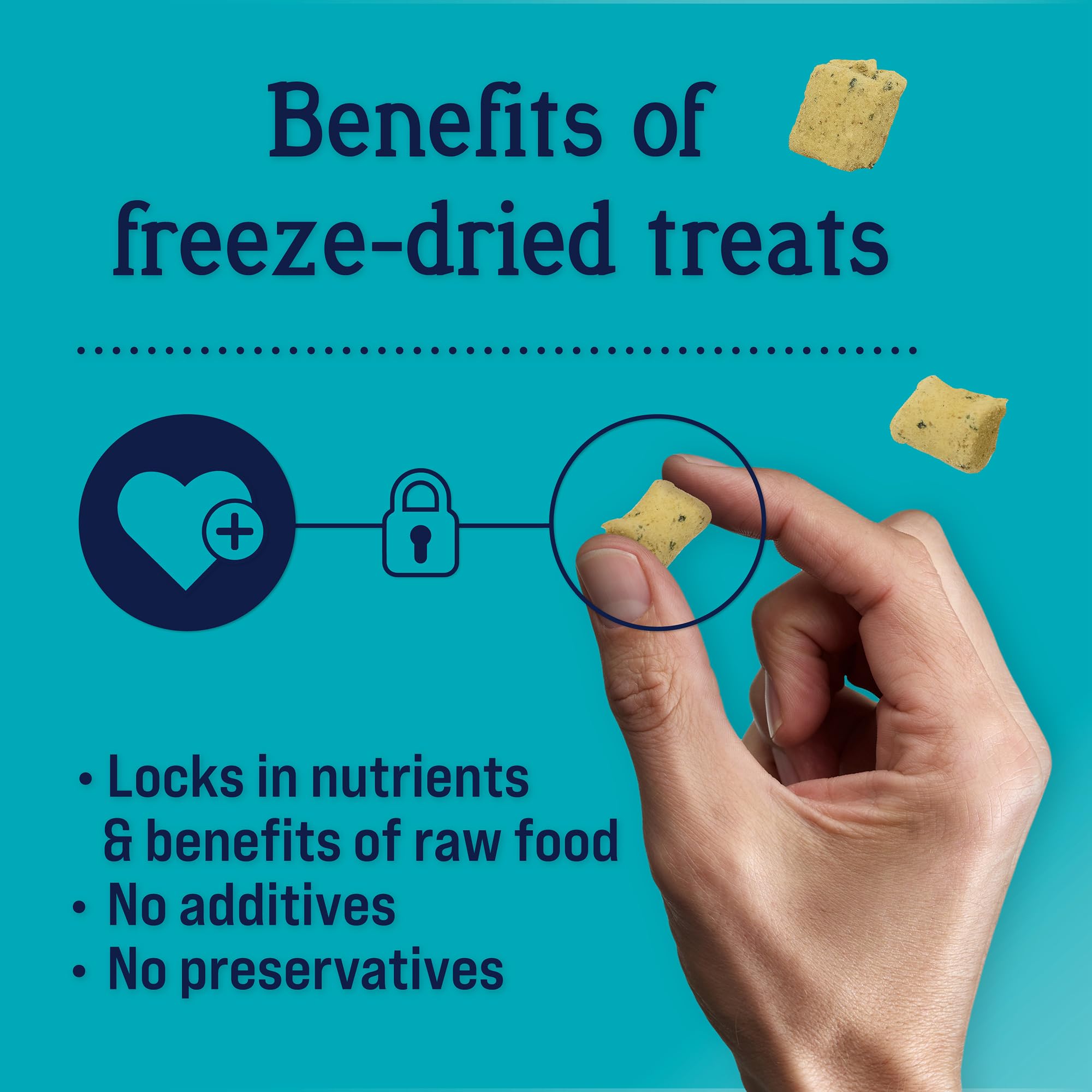 Stewart Shine Freeze Dried Salmon and Sweet Potato Treats with Omega-3 Fatty Acids