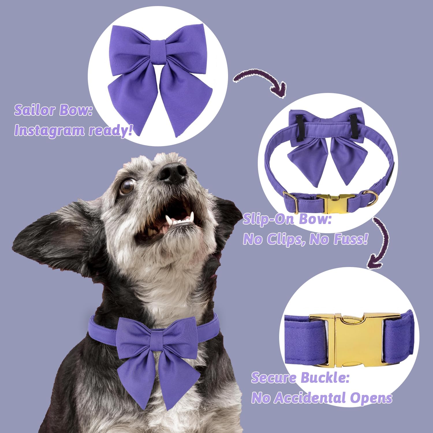 Maca Bates Dog Collar With Bow For Dogs Petunia Collars Solid Colors Sailor Bow Tie Purple Adjustable Soft Durable Breakaway Vio