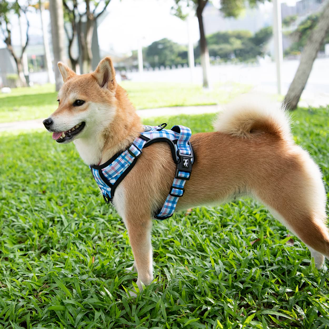 Poypet No Pull Dog Harness, [Release At Neck] Reflective Adjustable No Choke Pet Vest With Front & Back 2 Leash Attachments (Che