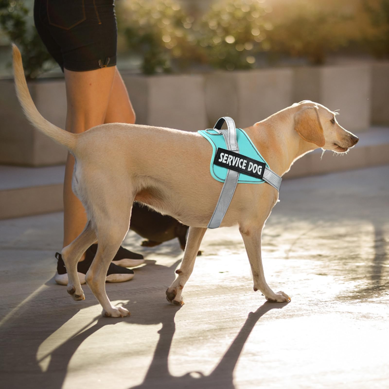 Voopet Emotional Support Dog Harness, Professional Service Dog Vest For Small To Extra Large Dogs, Reflective, Breathable, Adjus