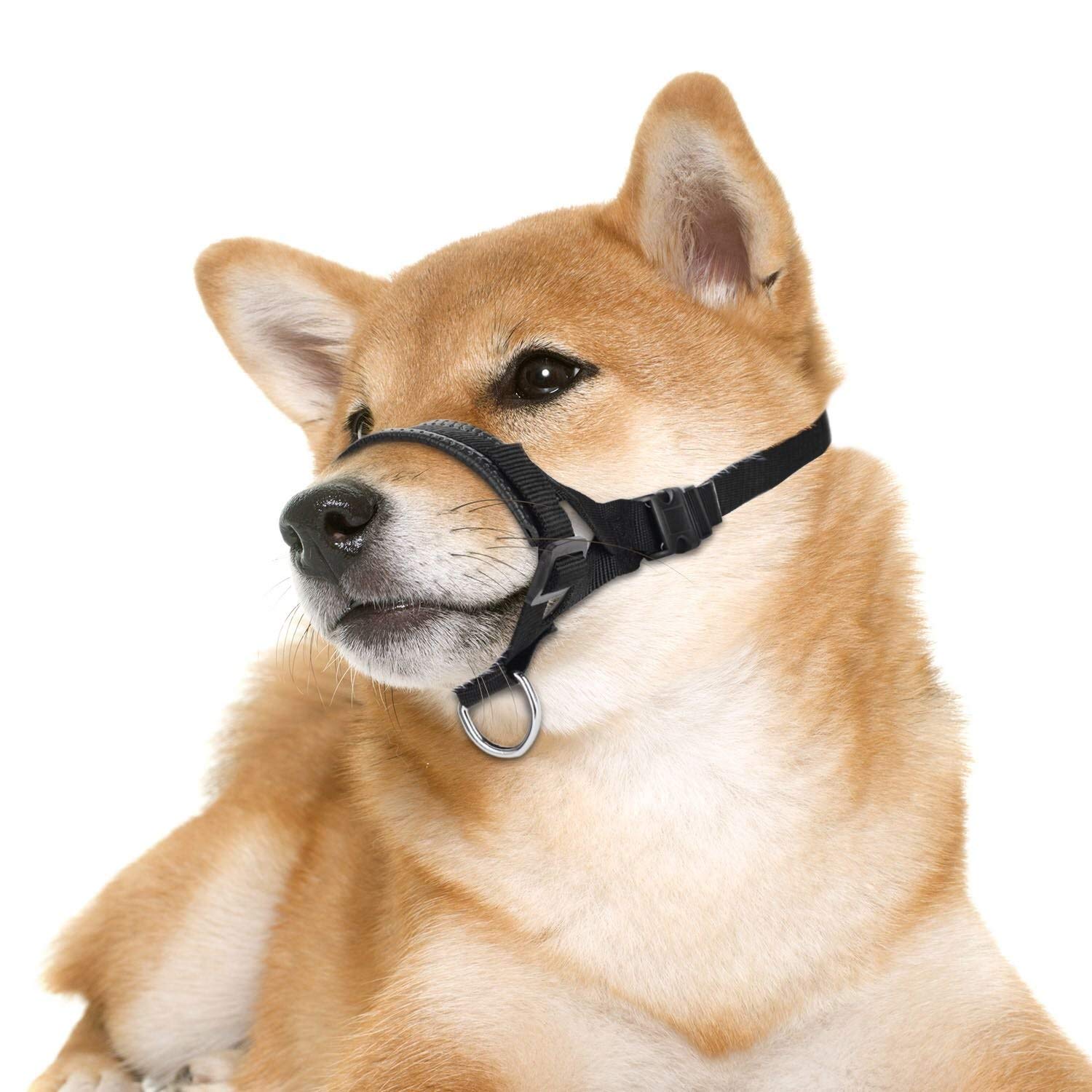 Nylon Dog Muzzle For Small,Medium,Large Dogs Prevent From Biting,Barking And Chewing,Adjustable Loop(Xxxl/Blue)