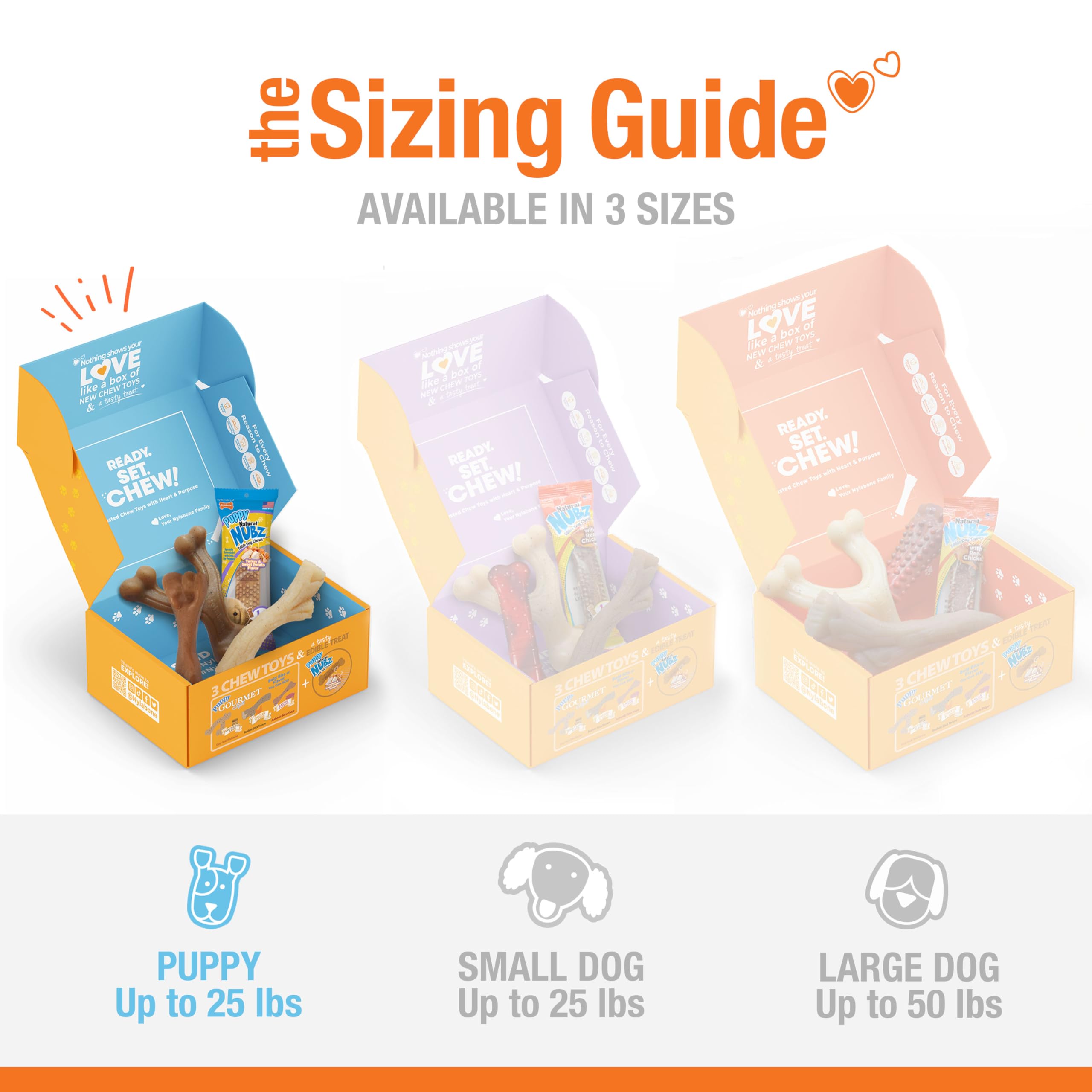 Nylabone Puppy Gift Box, Includes 3 Strong Chew Toys and 1 Natural Dog Treat, Gifts for Puppies, Small - Up to 25 lbs, 4 Pack