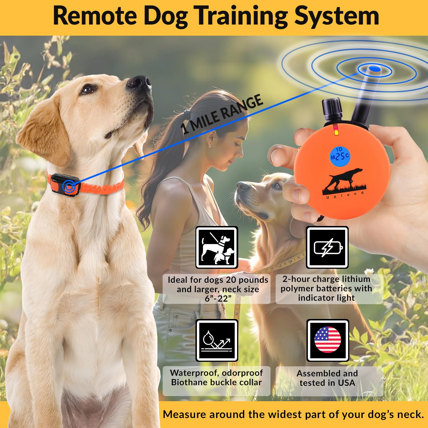 Educator E-Collar Humane Dog Training Collar With Remote, 100 Safe Tapping Stimulation Levels, Night Light, Waterproof, Rechargeable, 1 Mile 1 Large Dog, Orange